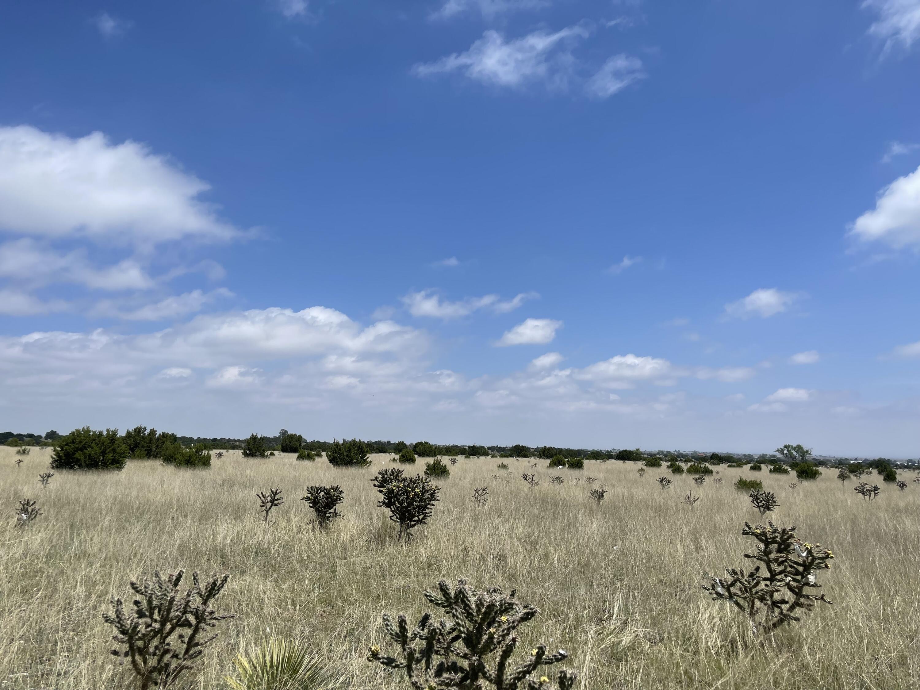 0 Quail Trail, Edgewood, NM 87015