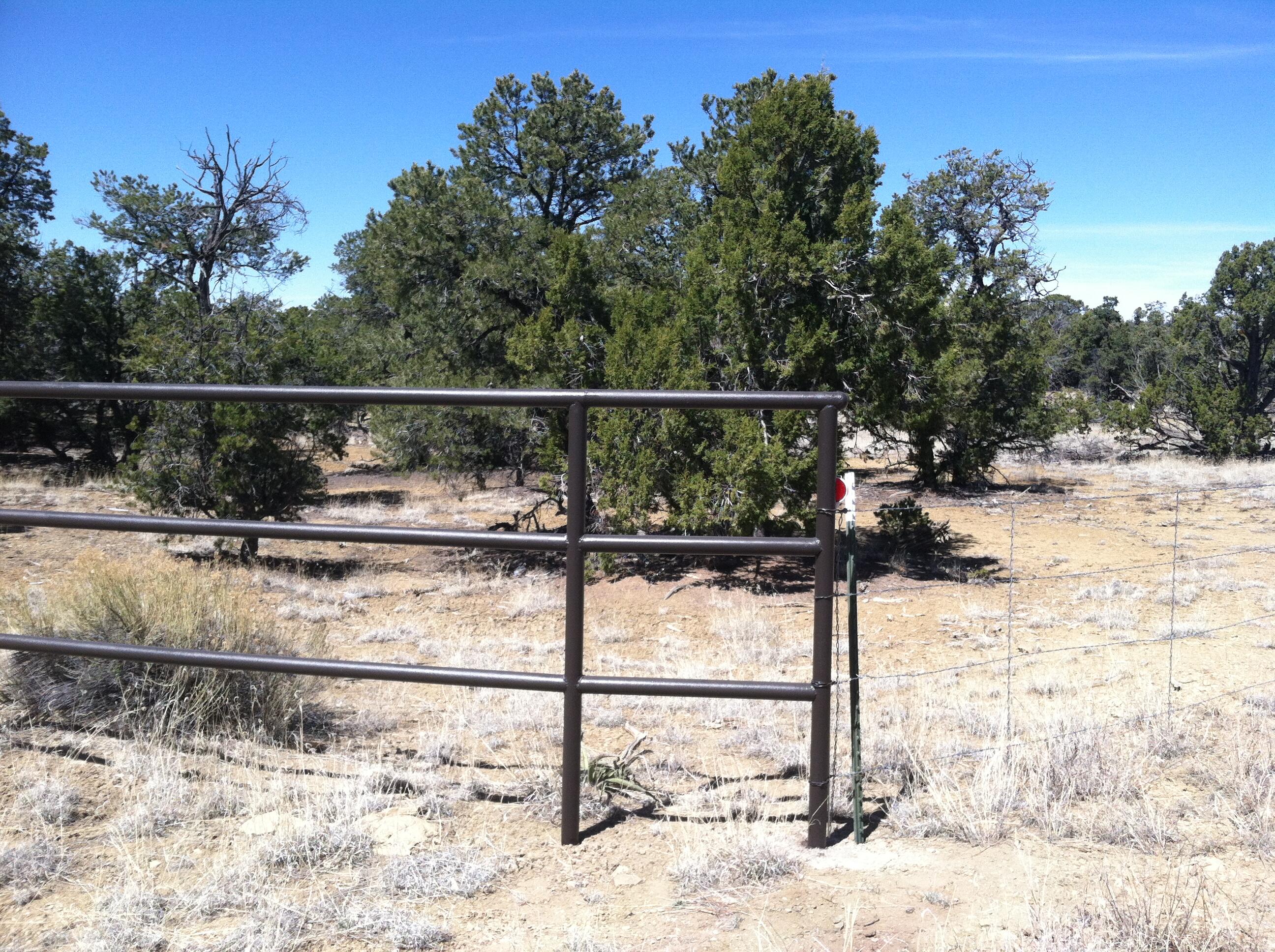 U4 Lot 56 Wild Horse Ranch, Pie Town, New Mexico 87827, ,Land,For Sale,U4 Lot 56 Wild Horse Ranch,1034923