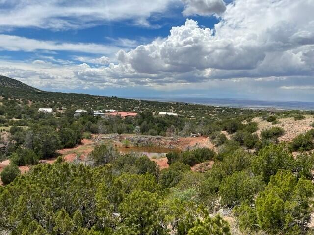 45 Camino De Las Piedras, Placitas, New Mexico 87043, 6 Bedrooms Bedrooms, ,4 BathroomsBathrooms,Residential,For Sale,45 Camino De Las Piedras,1035338