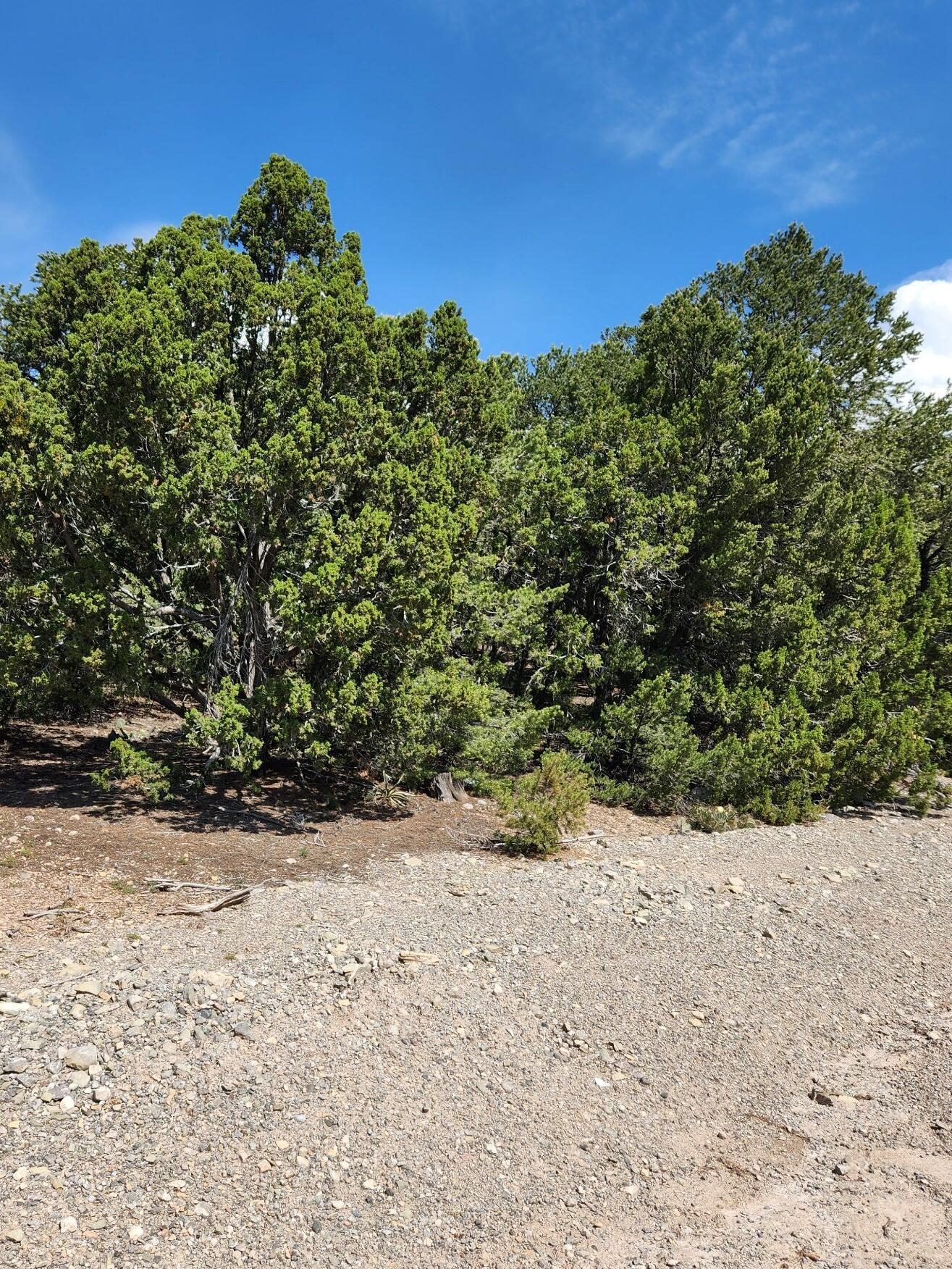 11 Bridal Lane, Tijeras, NM 87059