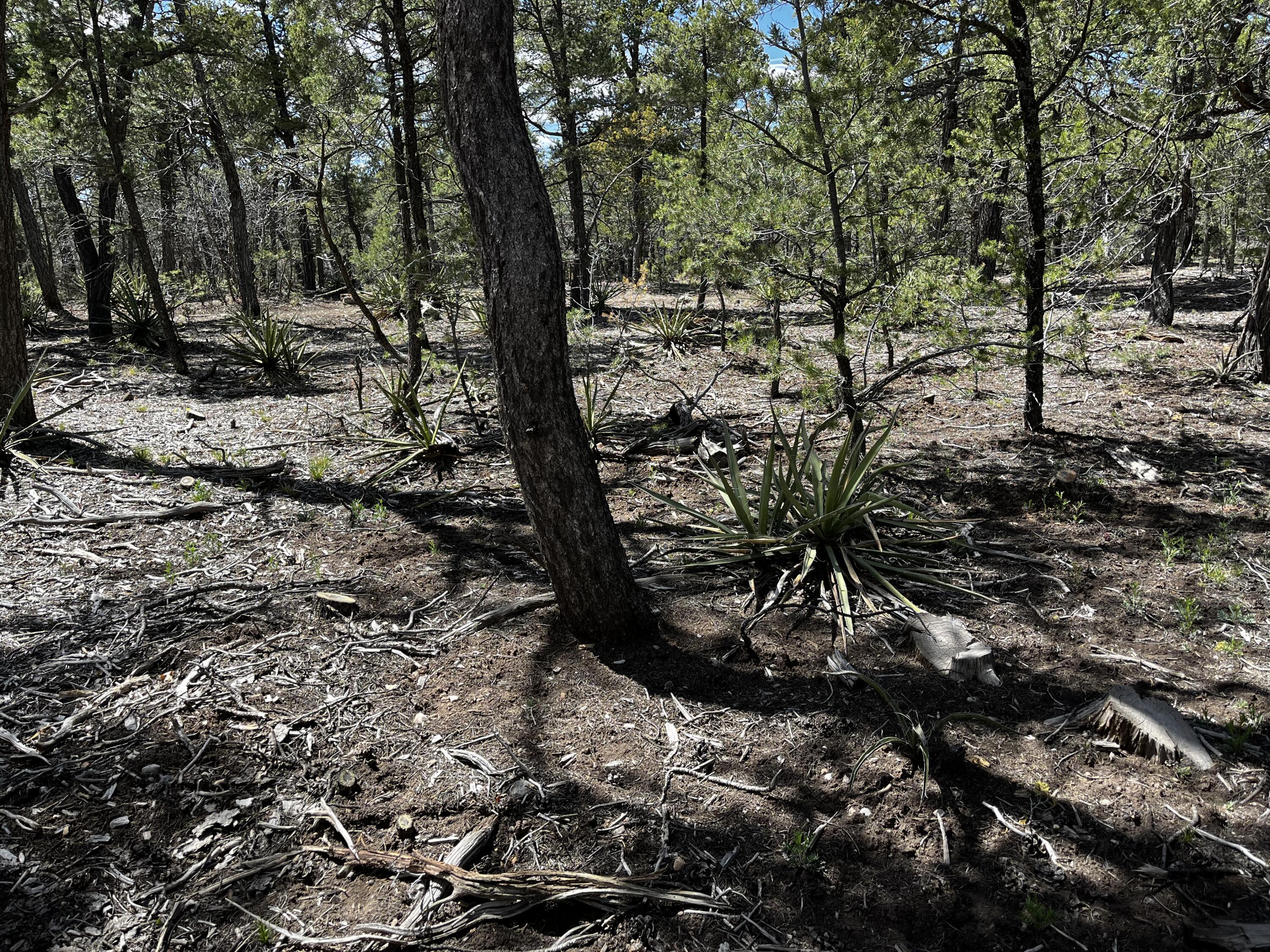 15 Orion Lane, Tijeras, NM 87059