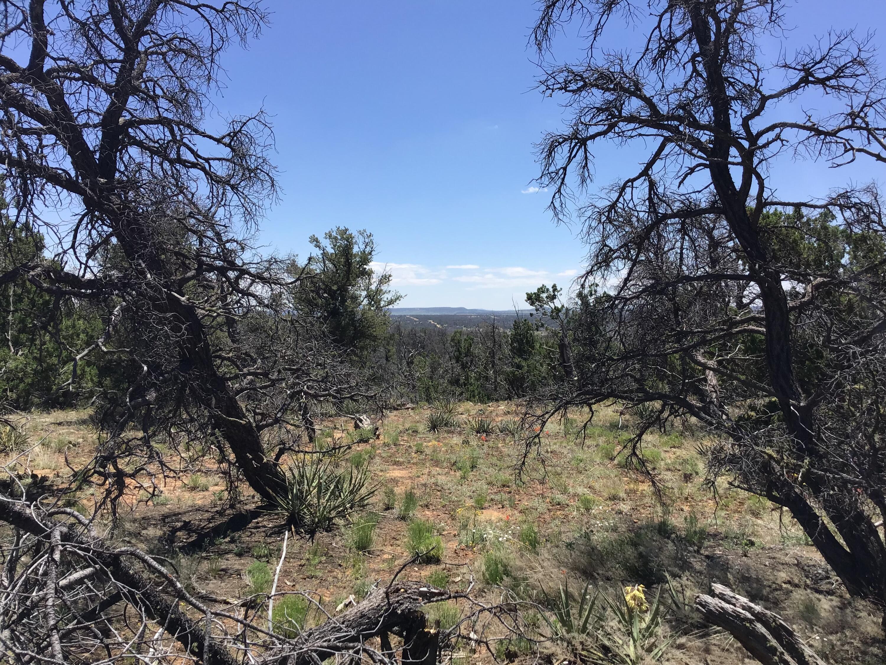 Lot 854 Carter Drive, Ramah, NM 87321