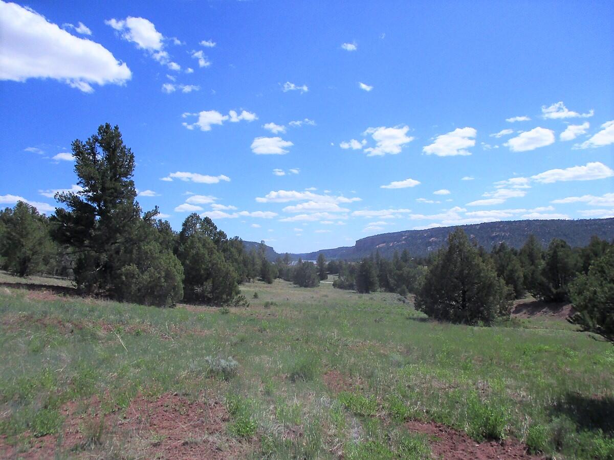 Lot 14 Buttonwood Drive, Ramah, NM 