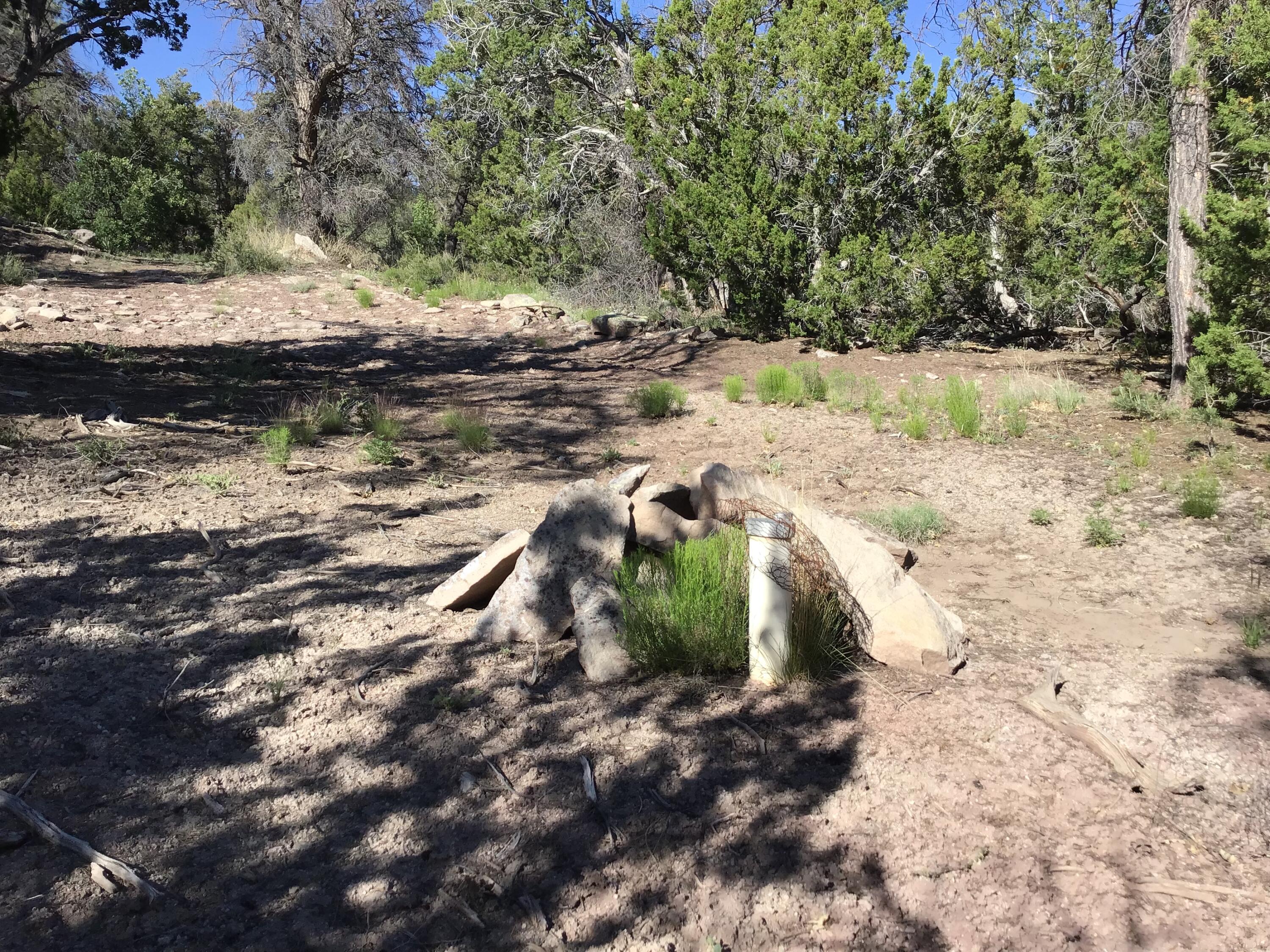 Lot 14 Woodland Drive, Ramah, NM 87321