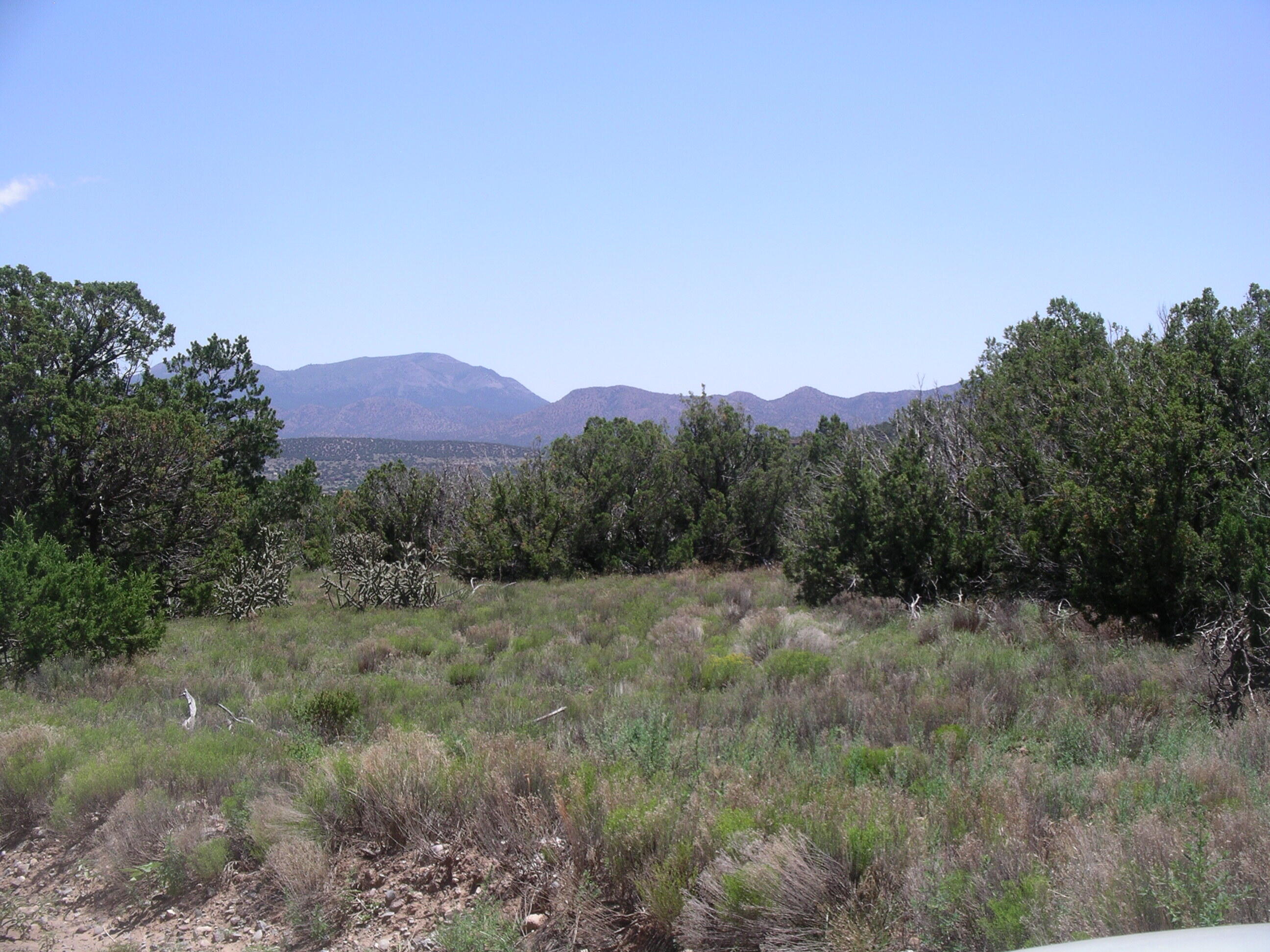 Pinon Park Trail, Sandia Park, NM 