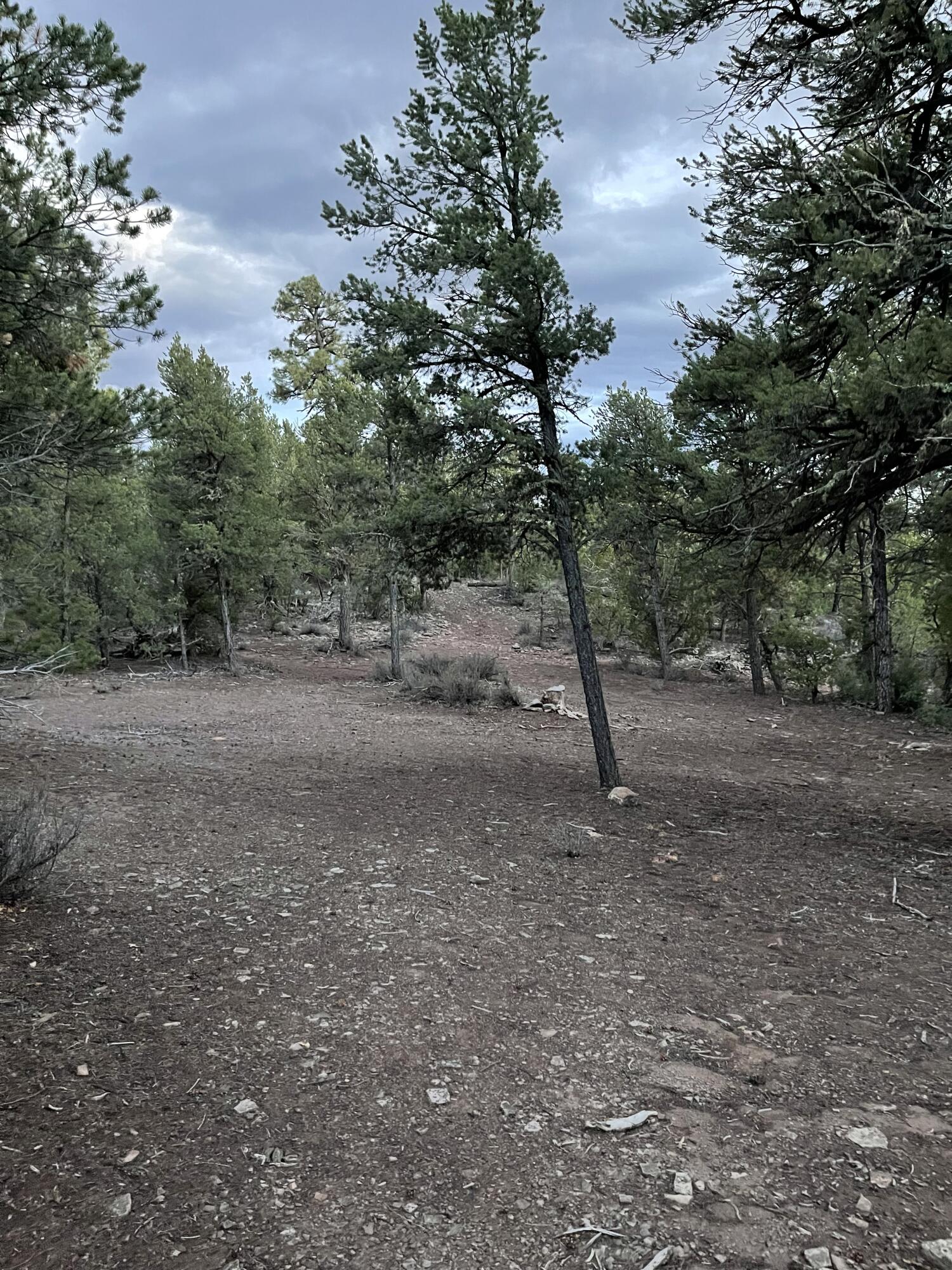 Lot 2 Woodland Road, Ramah, NM 87321