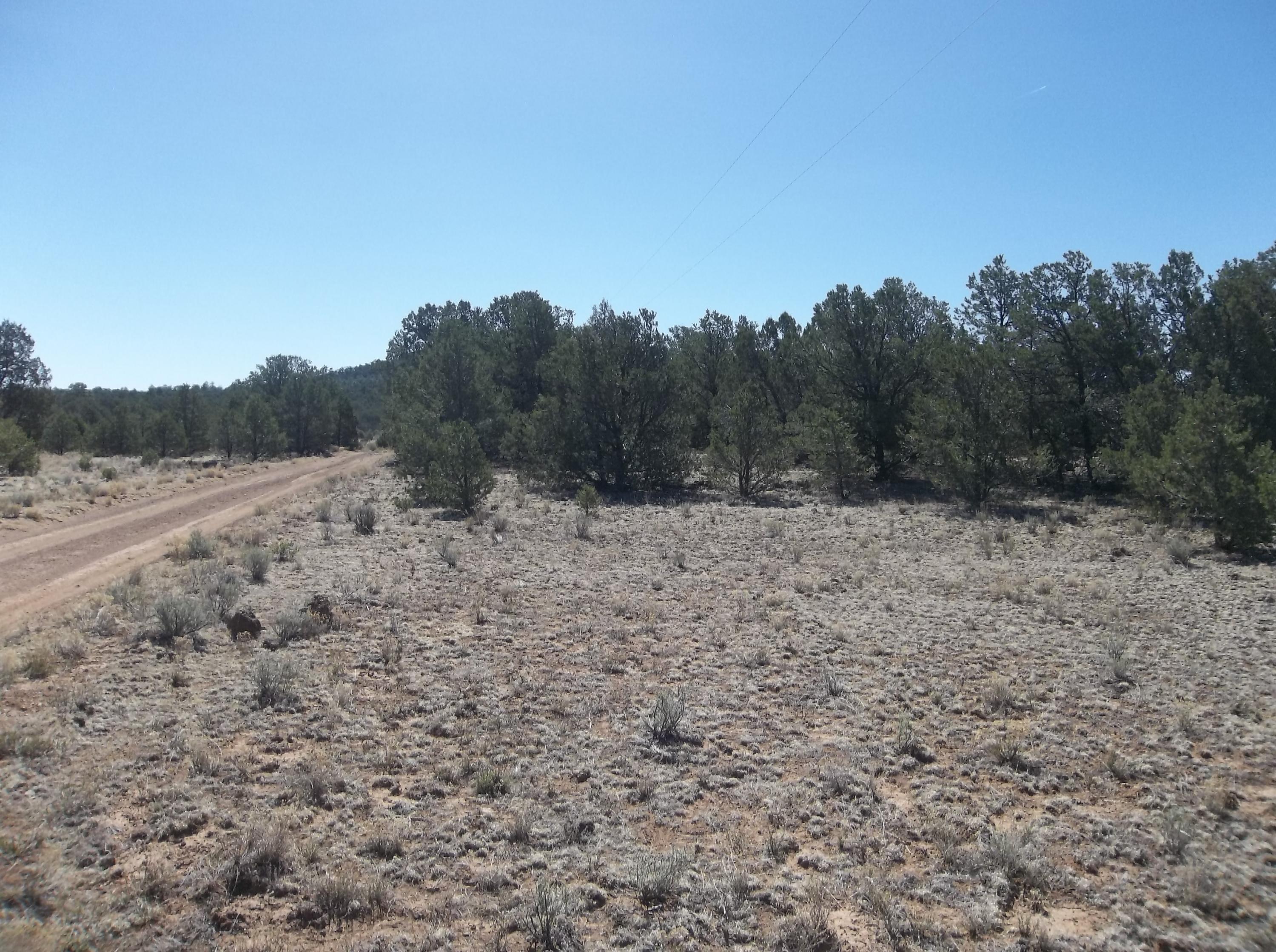 Cerro Leonides - Tierra Verde Road, Ramah, NM 