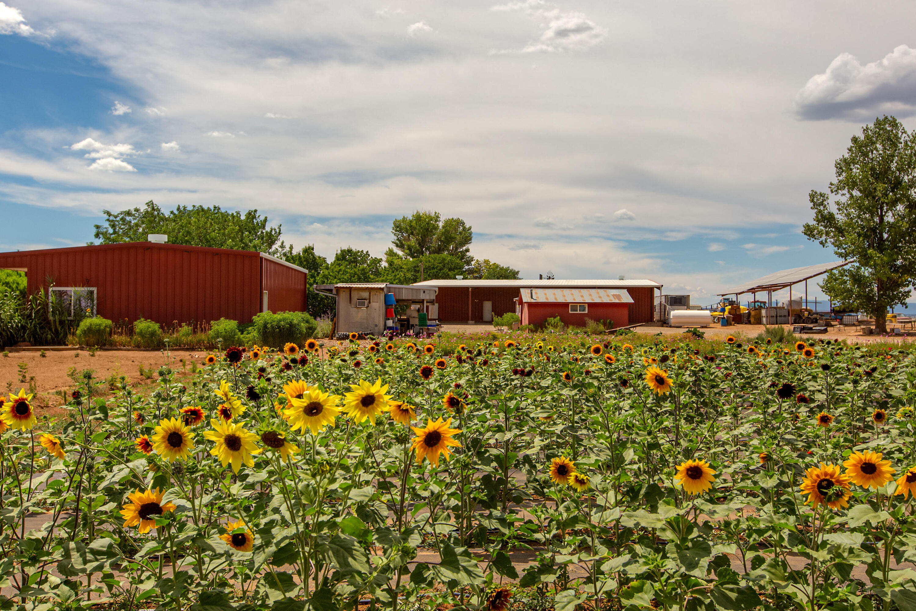 901 W Martinez Road, Moriarty, NM 