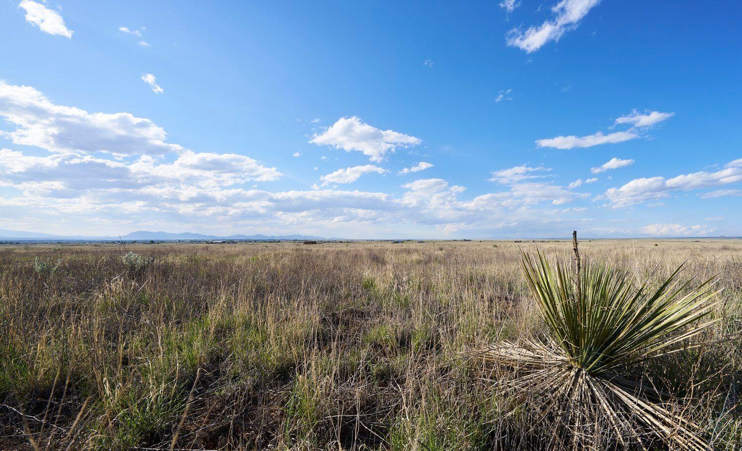 Palomino Lot 16 Drive, Moriarty, NM 