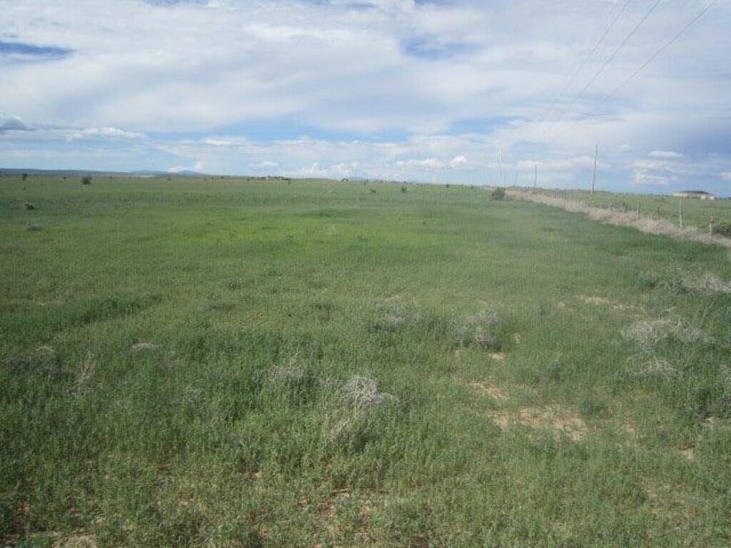 S Metzger Road, Estancia, New Mexico 87016, ,Farm,For Sale, S Metzger Road,1042077