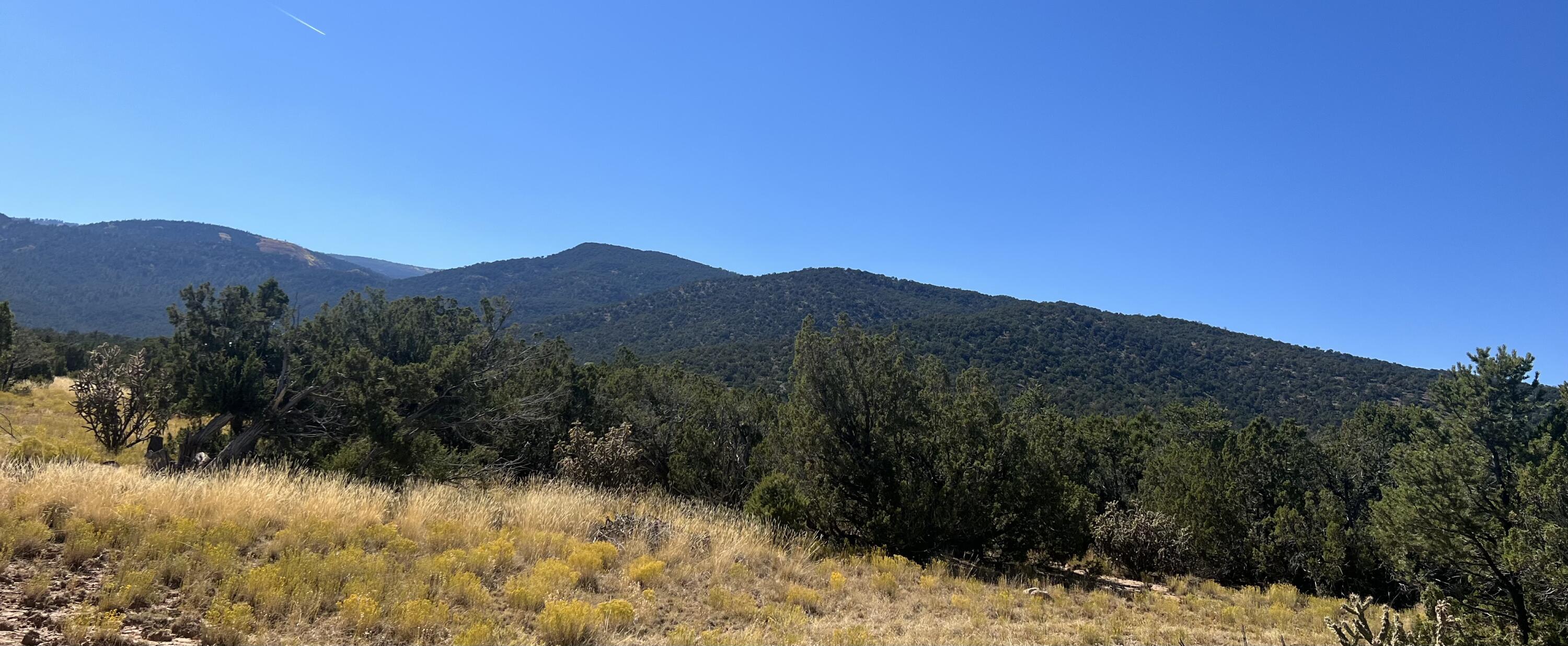 Pinon Ridge, Sandia Park, New Mexico 87047, ,Land,For Sale, Pinon Ridge,1042921