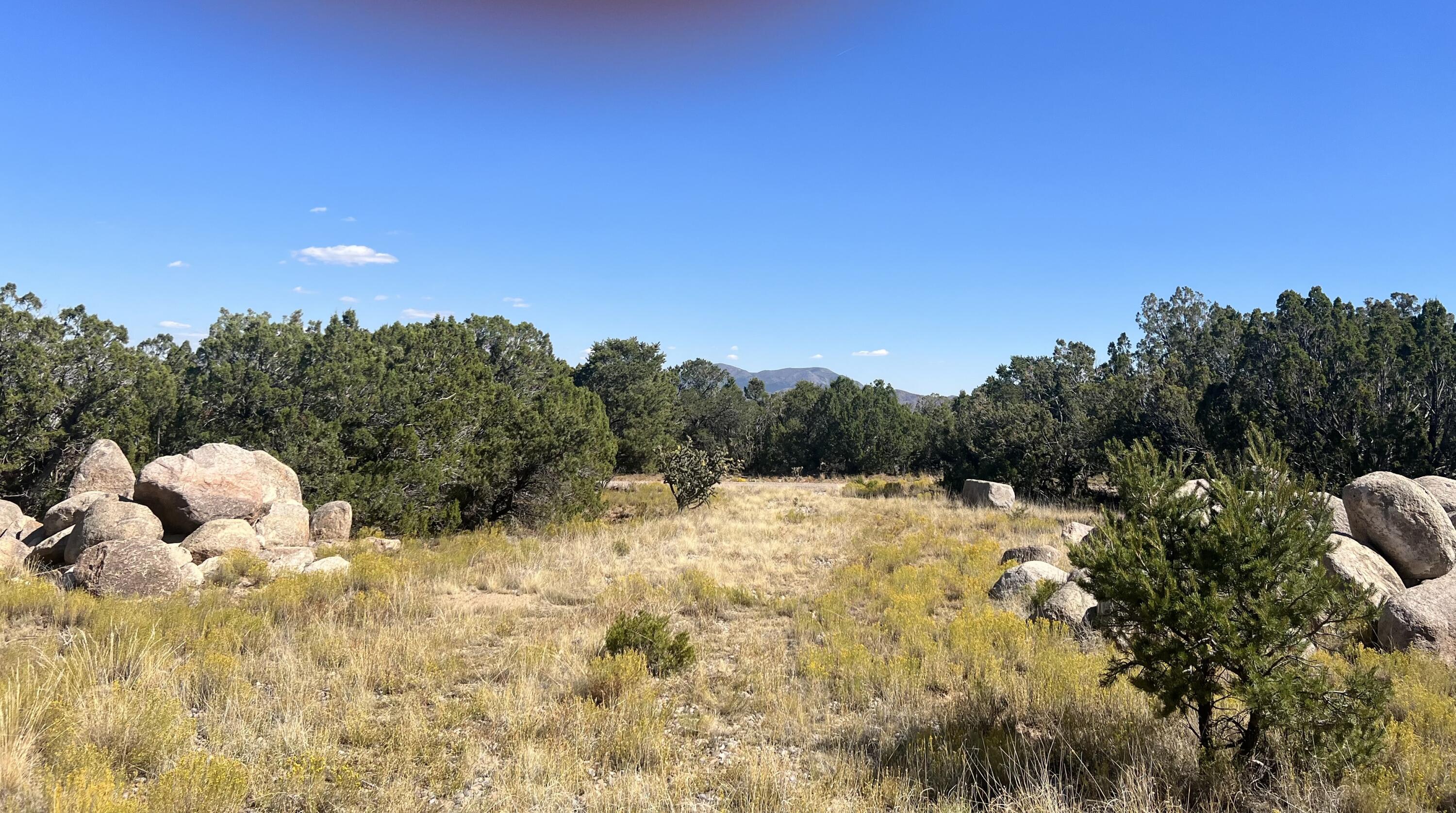 Pinon Ridge, Sandia Park, New Mexico 87047, ,Land,For Sale, Pinon Ridge,1042921