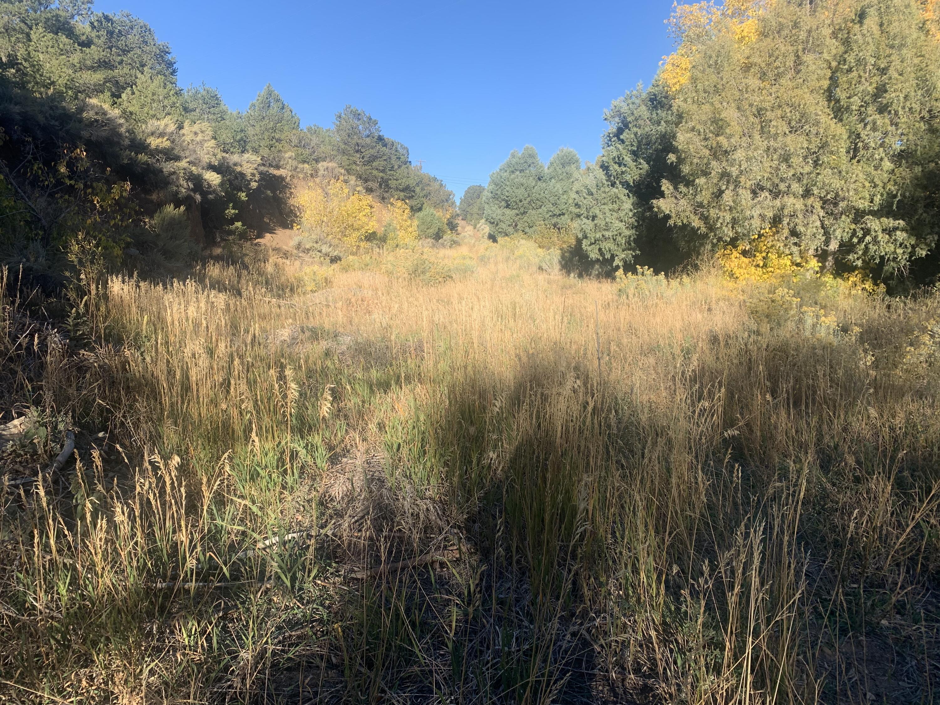 0 Paseo Del Canon East, Taos, New Mexico 87571, ,Land,For Sale,0 Paseo Del Canon East,1043239