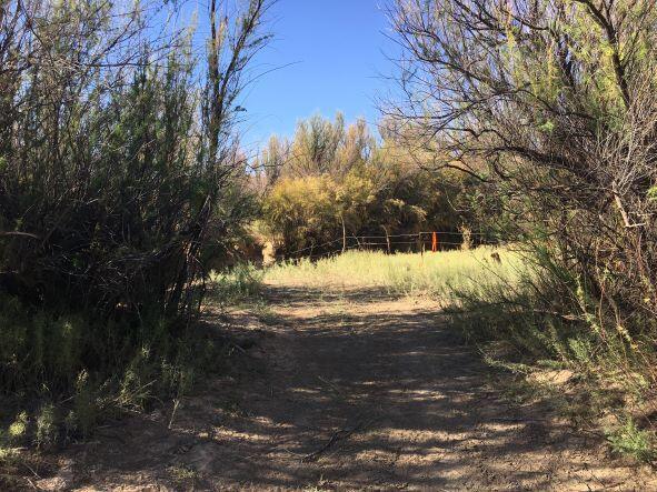 Rio Puerco River Road, Belen, NM 