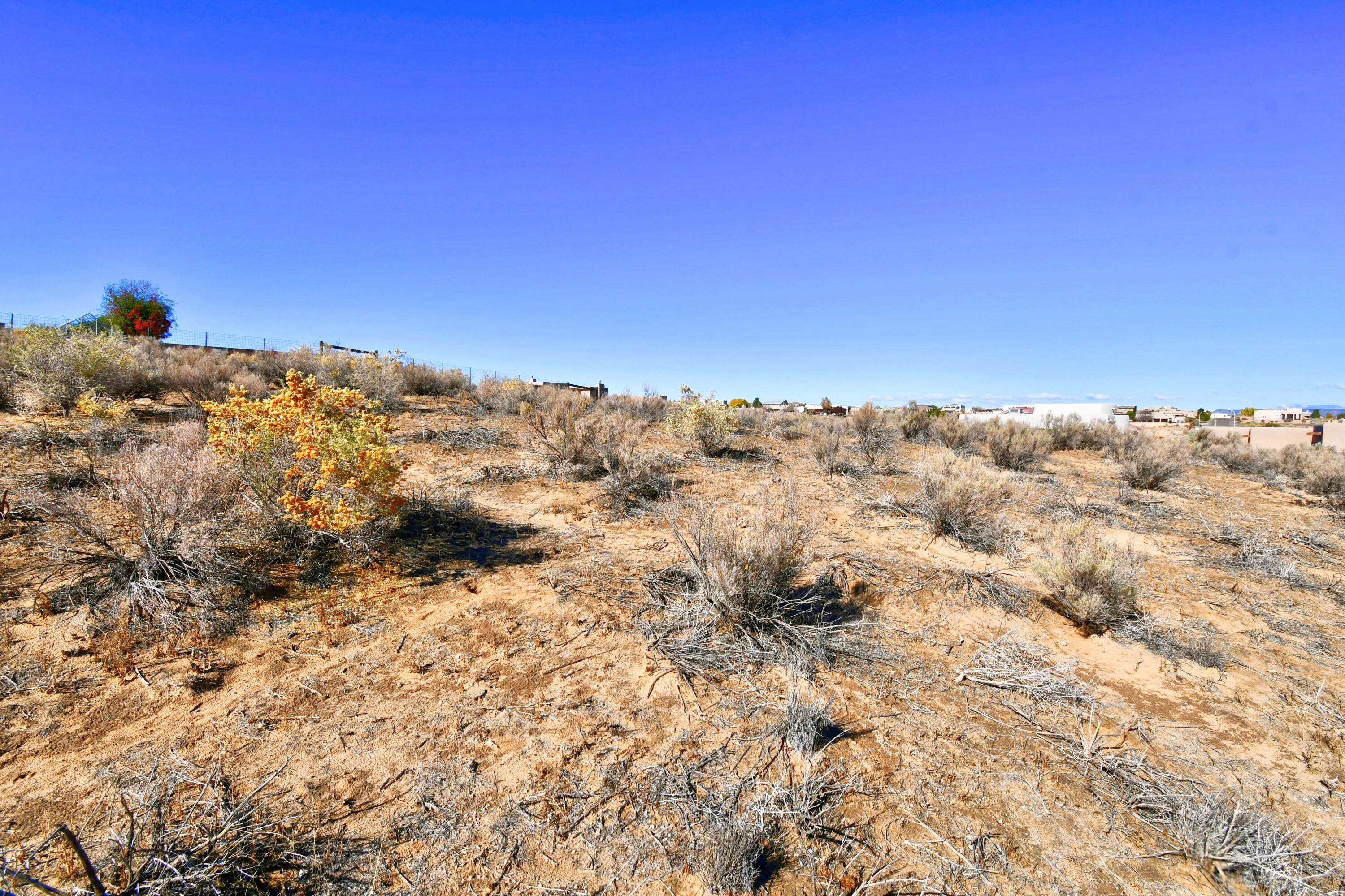 Chapingo NE, Rio Rancho, New Mexico 87144, ,Land,For Sale, Chapingo NE,1045097