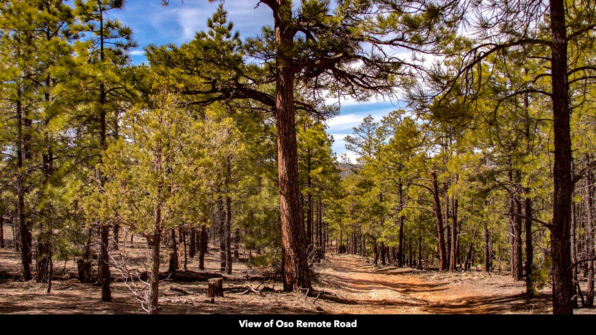 Oso Remote Road, Grants, NM 