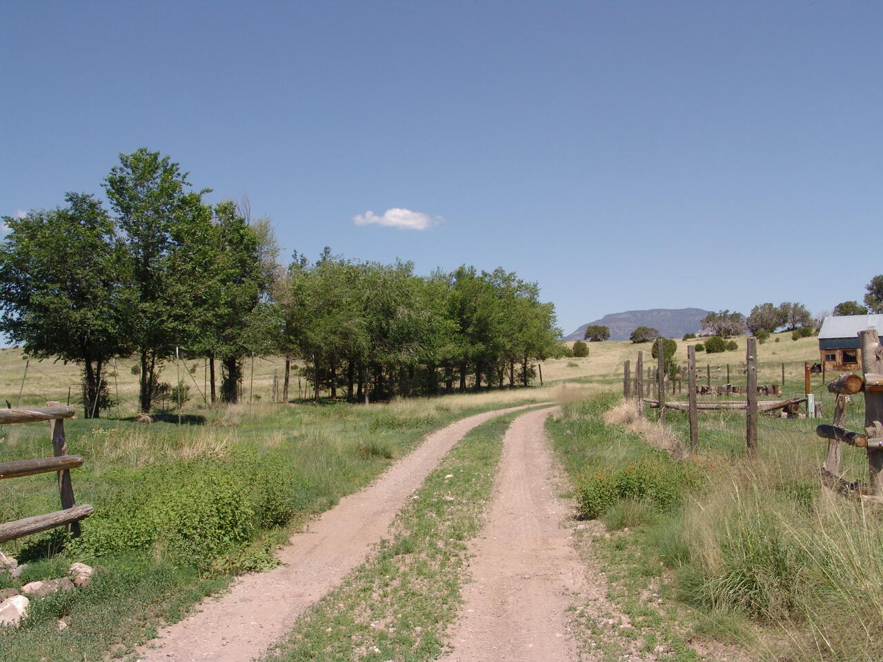 116 Thomas Ranch Rd., Datil, New Mexico 87821, ,Farm,For Sale,116 Thomas Ranch Rd.,1054749