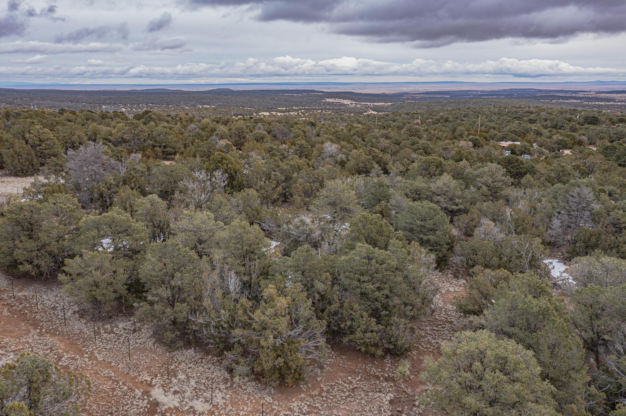 6 Doc Holiday Road, Edgewood, New Mexico 87015, ,Land,For Sale,6 Doc Holiday Road,1055615