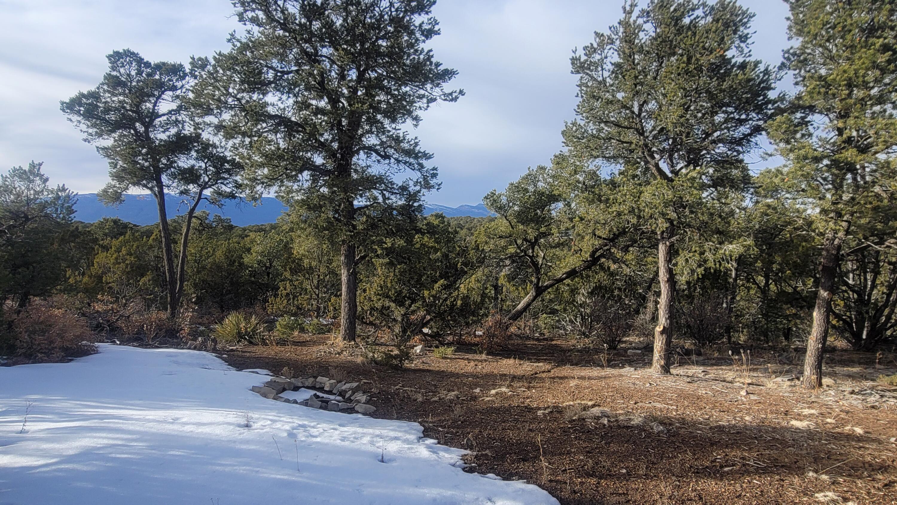 246 Five Hills Drive, Tijeras, New Mexico 87059, ,Land,For Sale,246 Five Hills Drive,1056007