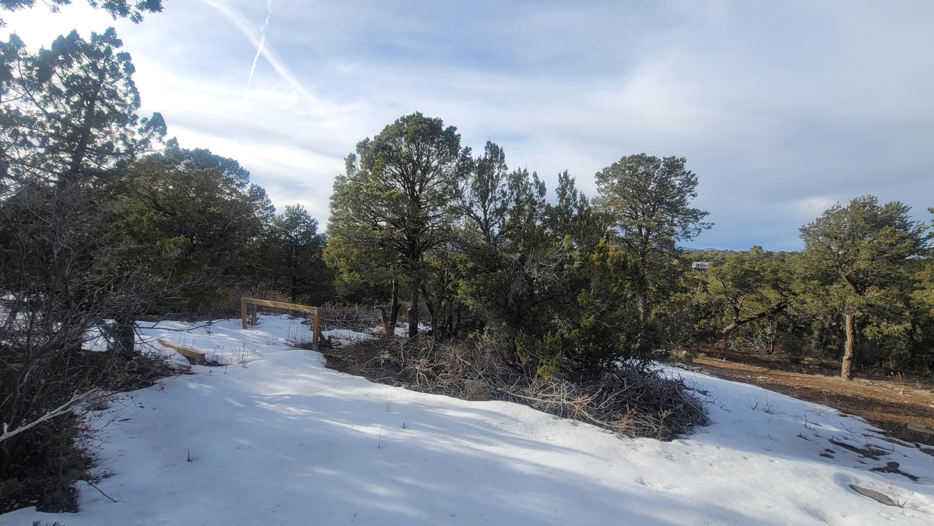 246 Five Hills Drive, Tijeras, New Mexico 87059, ,Land,For Sale,246 Five Hills Drive,1056007