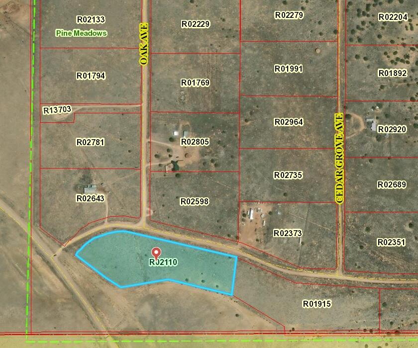 Lot 11 Pine Meadows Ranch Drive, Ramah, New Mexico 87321, ,Land,For Sale,Lot 11 Pine Meadows Ranch Drive,1056605
