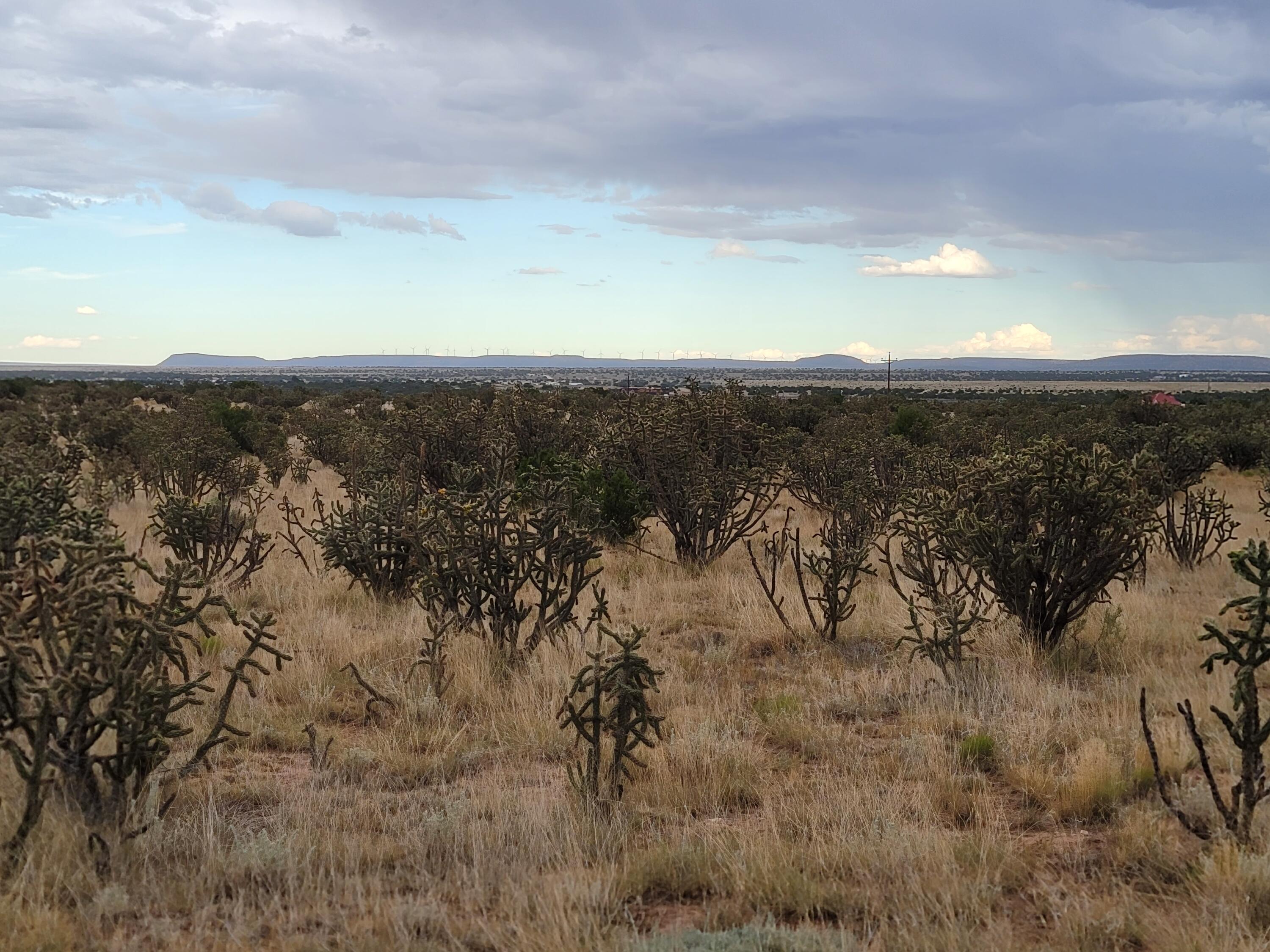 Hwy 55, Mountainair, New Mexico 87036, ,Land,For Sale, Hwy 55,1056632