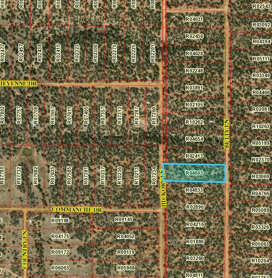 Lot 590 Betty Lane, Ramah, New Mexico 87321, ,Land,For Sale,Lot 590 Betty Lane,1056700