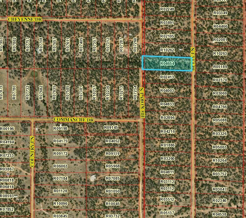 Lot 592 Betty Lane, Ramah, New Mexico 87321, ,Land,For Sale,Lot 592 Betty Lane,1056704