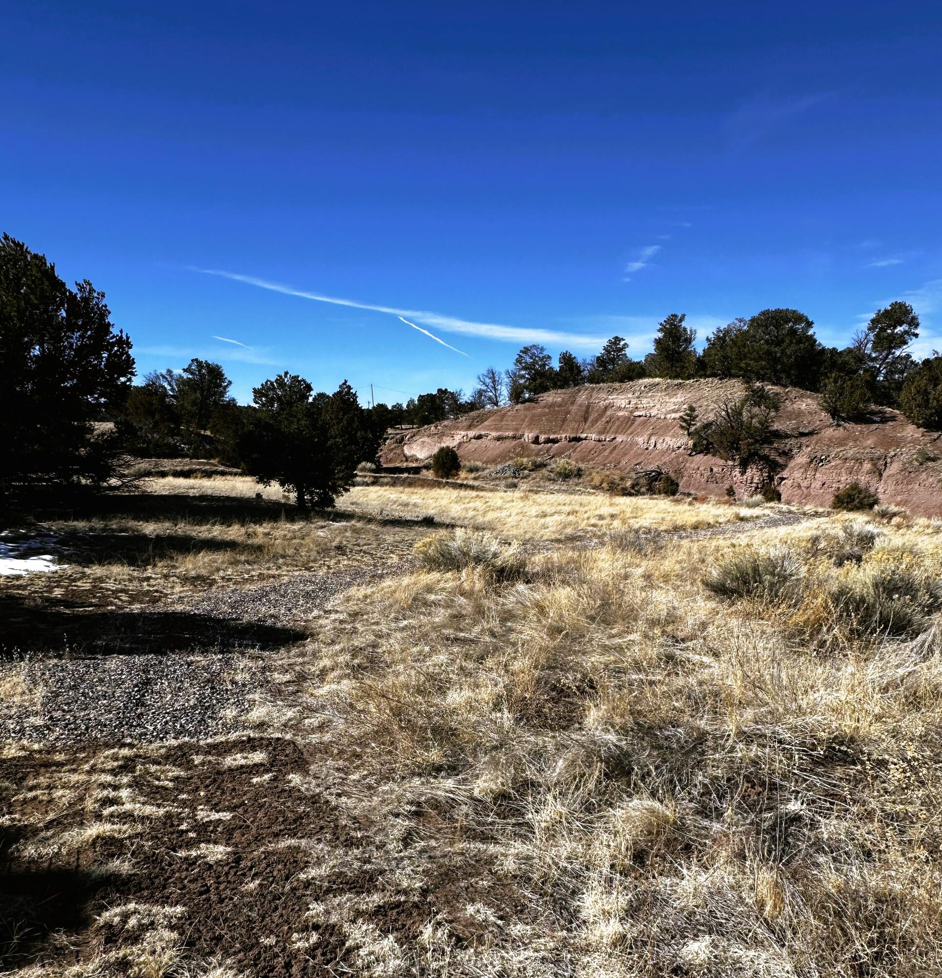 2 Canyon Drive, Quemado, New Mexico 87829, ,Land,For Sale,2 Canyon Drive,1057410