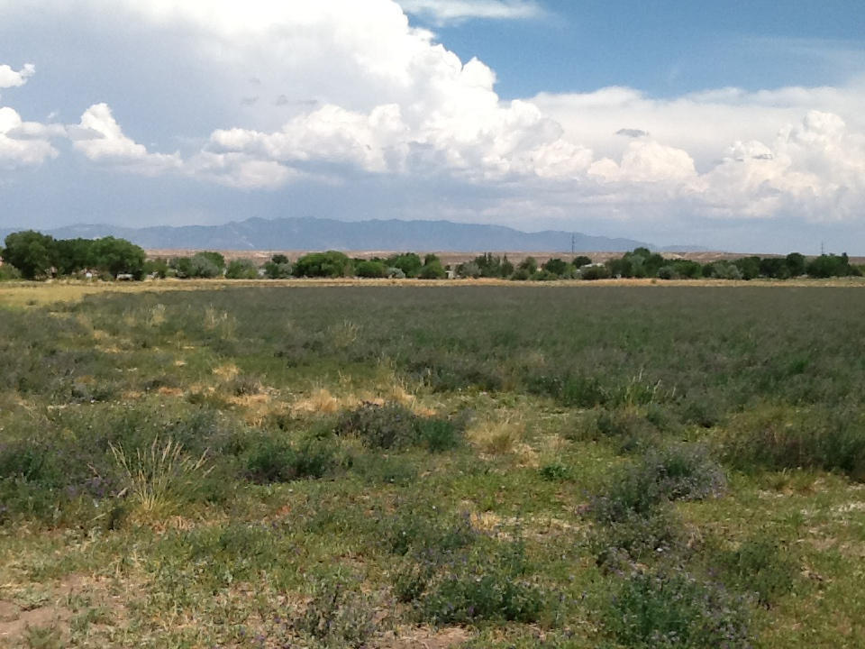 Marquez Road, Los Lunas, NM 87031