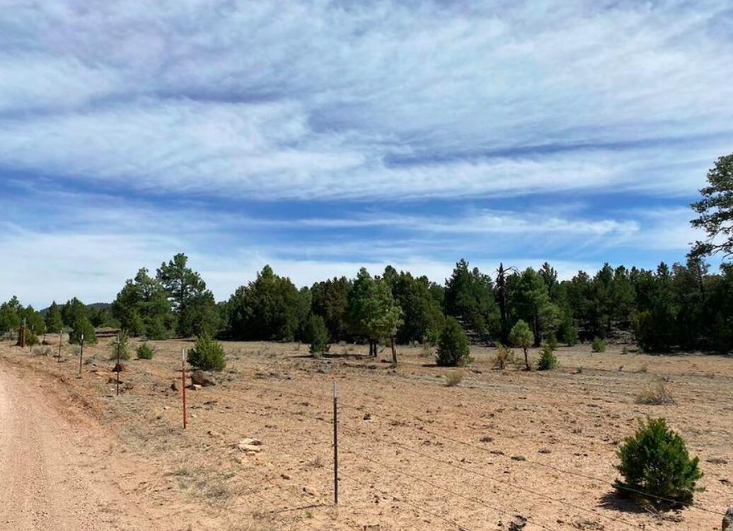 Tract 20 James Valley Ranch, Ramah, NM 87321