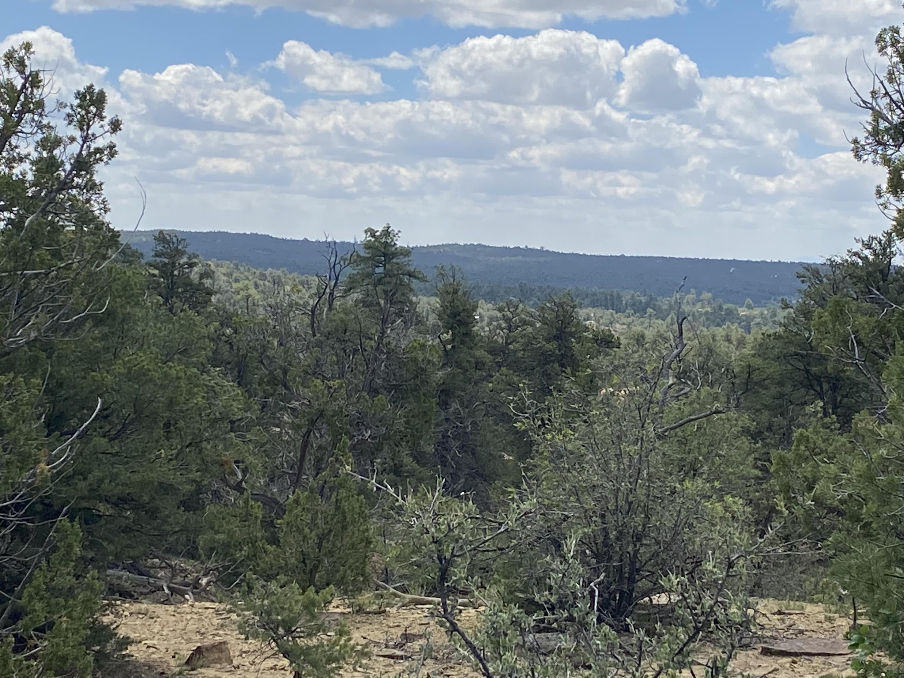 Lot 21 Old Well And Normas Road, Ramah, NM 87321