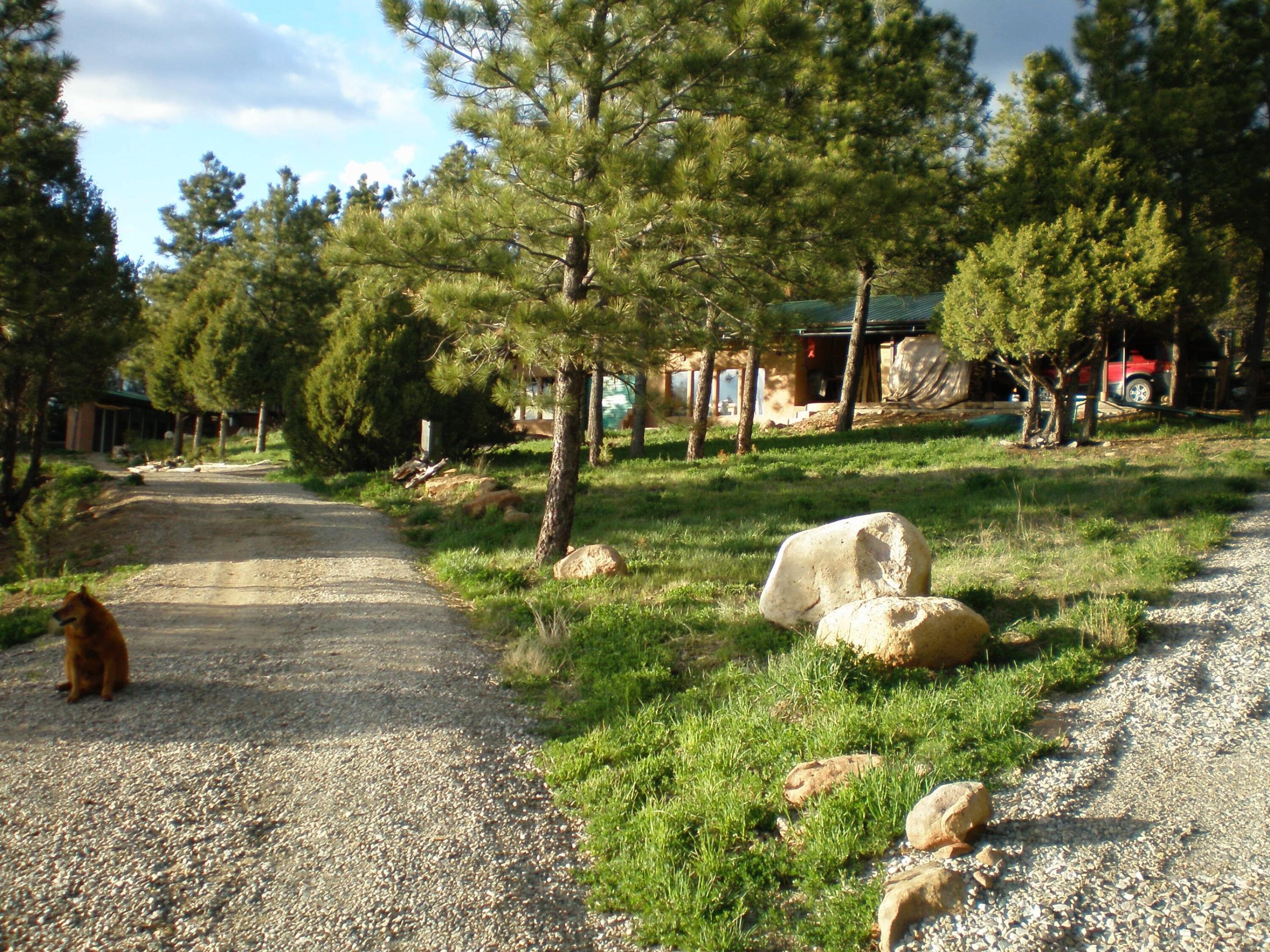 , Vadito, NM 87579