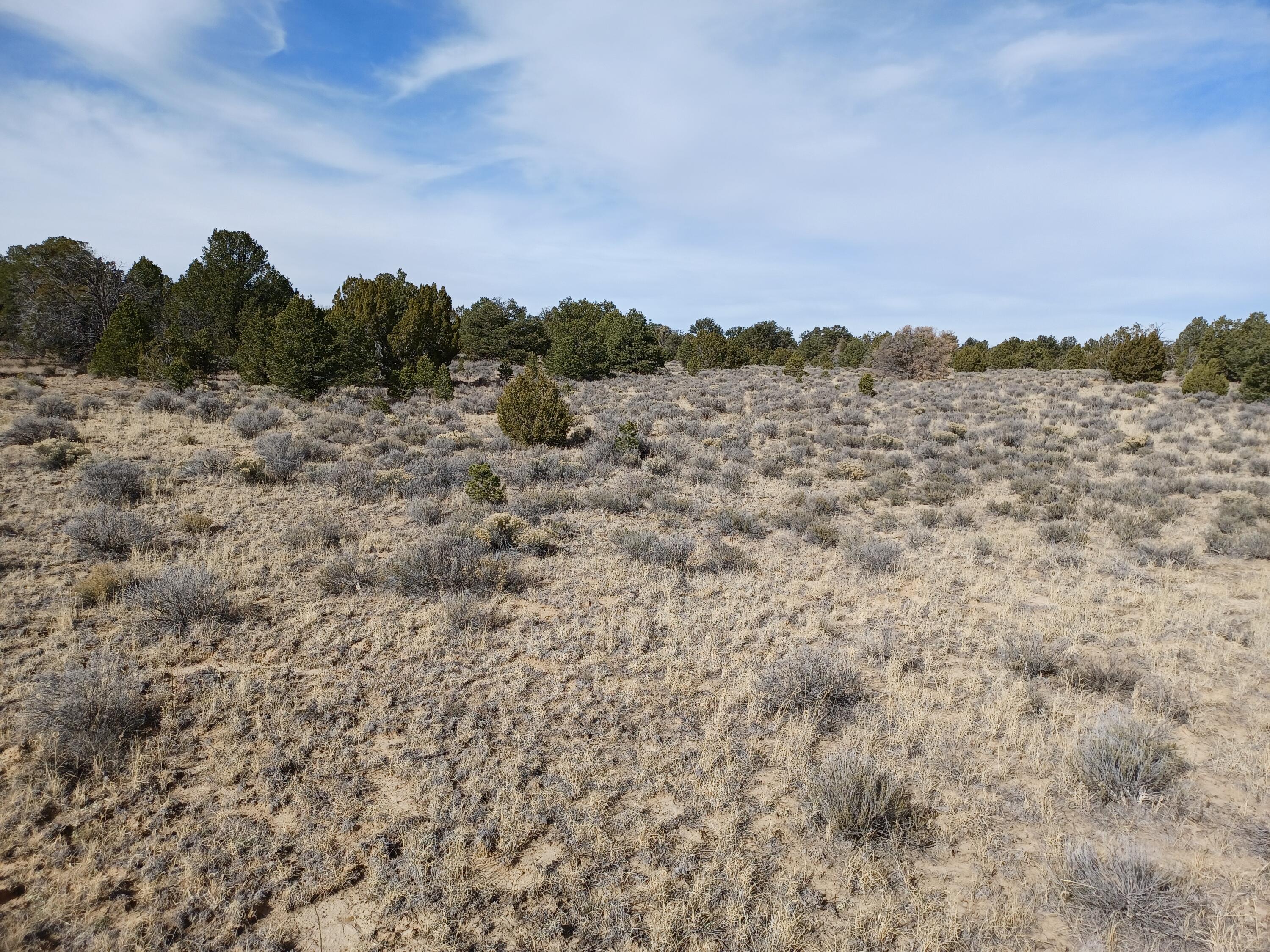 0 Sierra De Manana Drive, Ramah, NM 87321