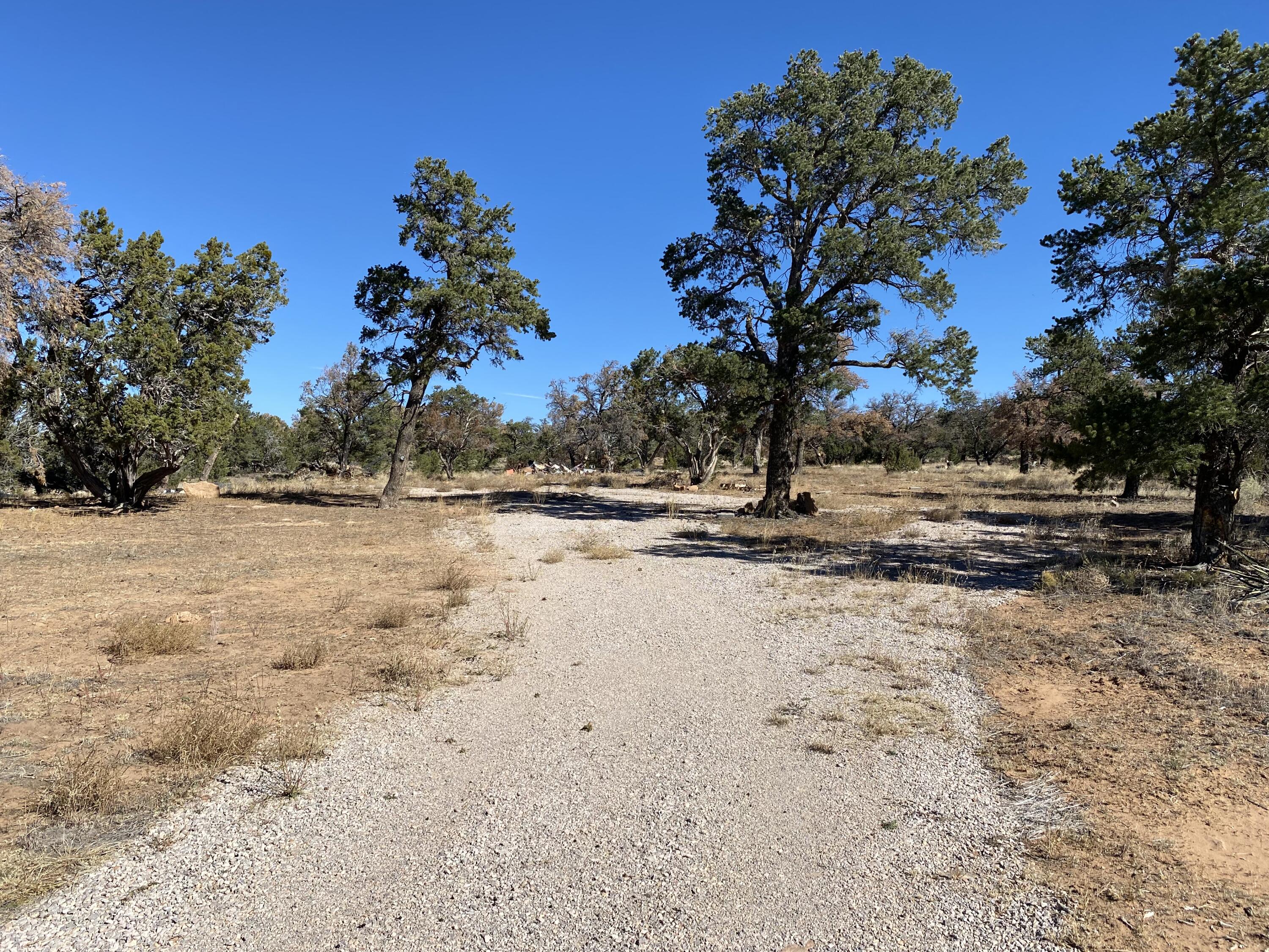 Lot 37 Hillside Drive, Ramah, NM 87321