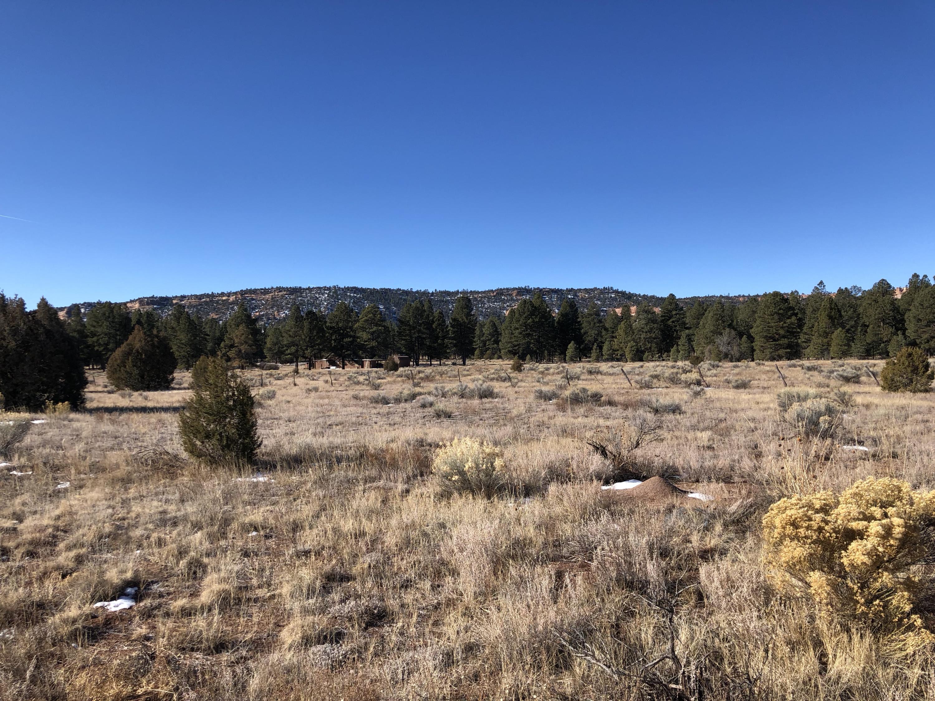Lot 1 Ash - Unit 2 Block 5 Drive, Ramah, NM 87321