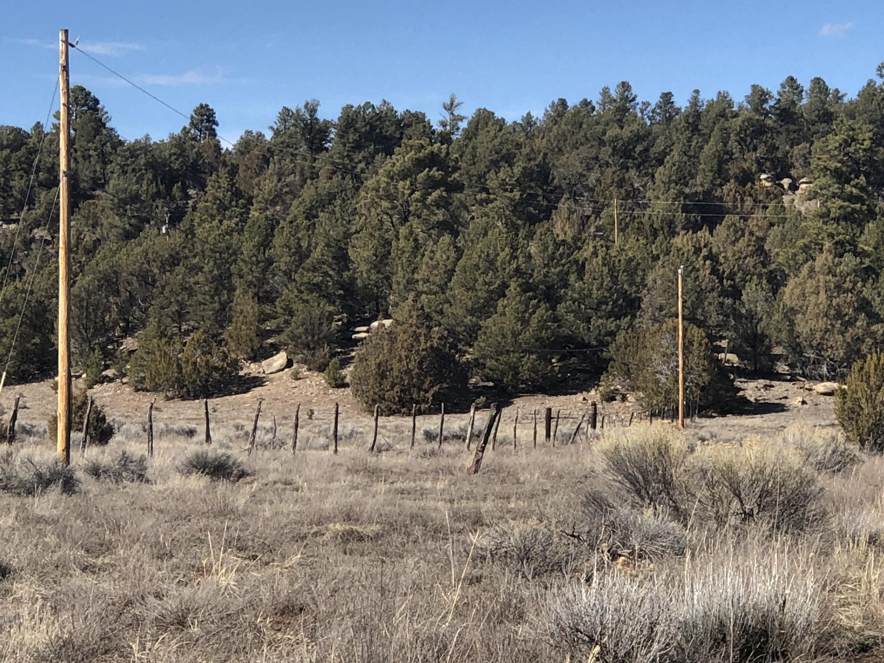 Lot 64 Ash - Unit 2 Block 1 Drive, Ramah, NM 87321