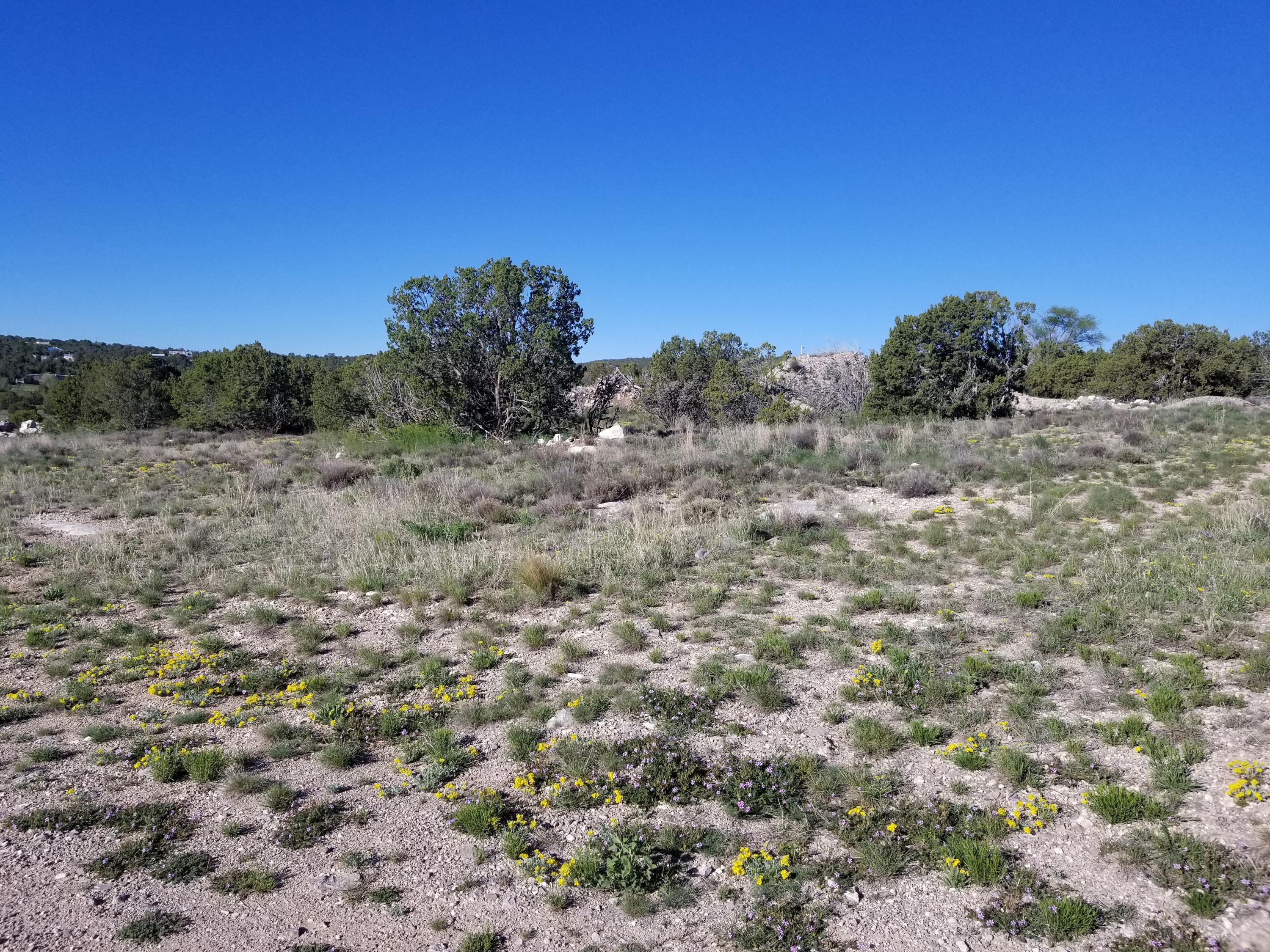 0 Walker Road, Edgewood, NM 87015
