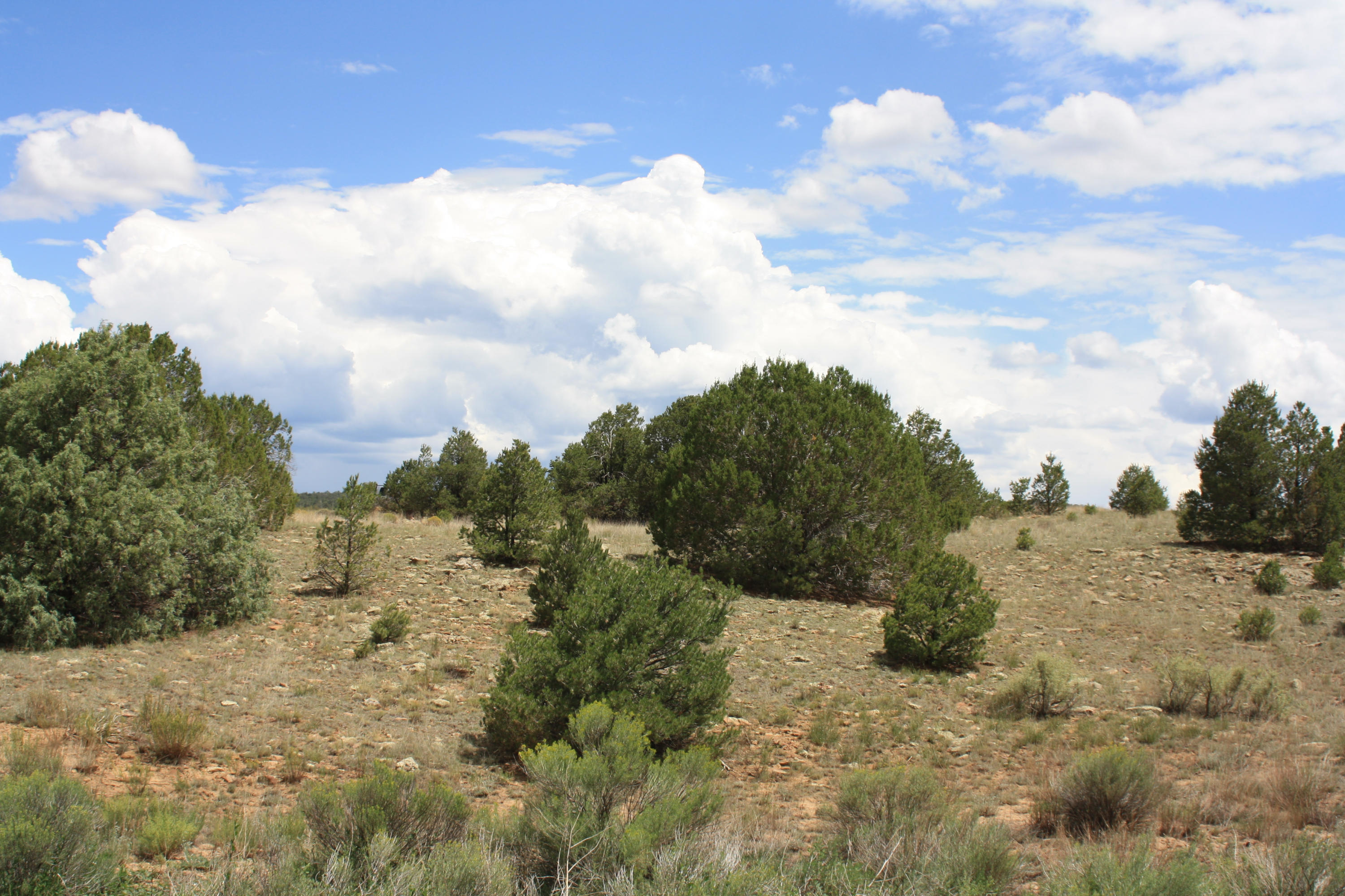 398-399 Pine Meadows Unit 4, Ramah, NM 87321