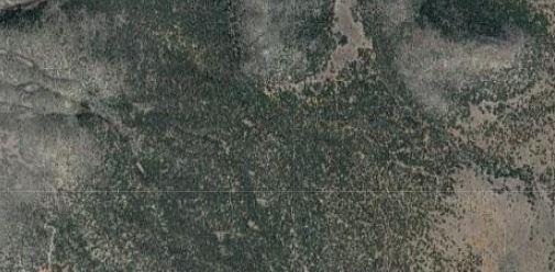 15 Camino San Pedros Road, Edgewood, NM 87015