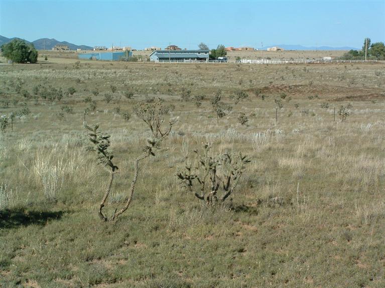 14 E Venus Road, Edgewood, NM 87015