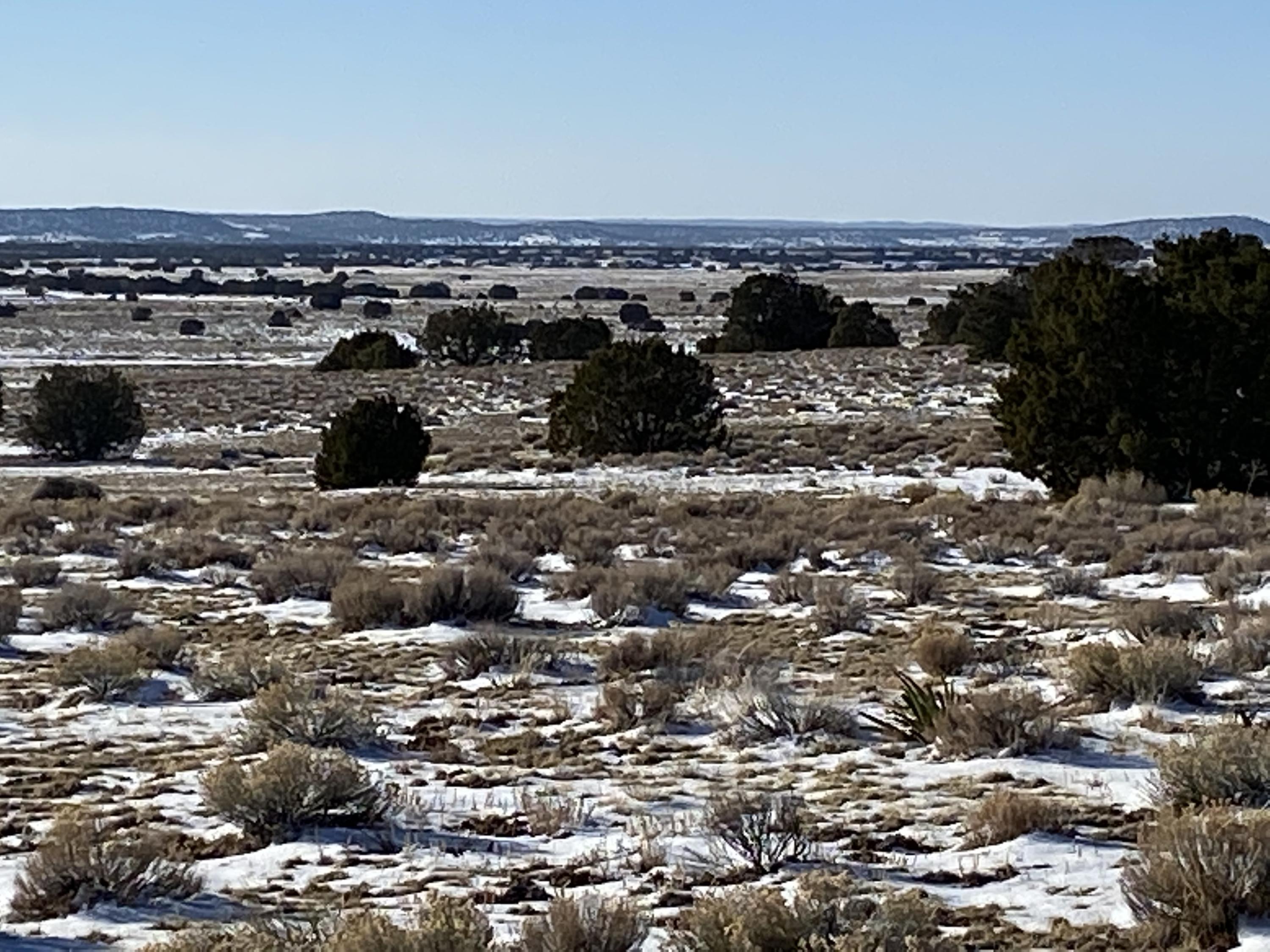 75 Pine Meadows Unit 1, Ramah, NM 87321