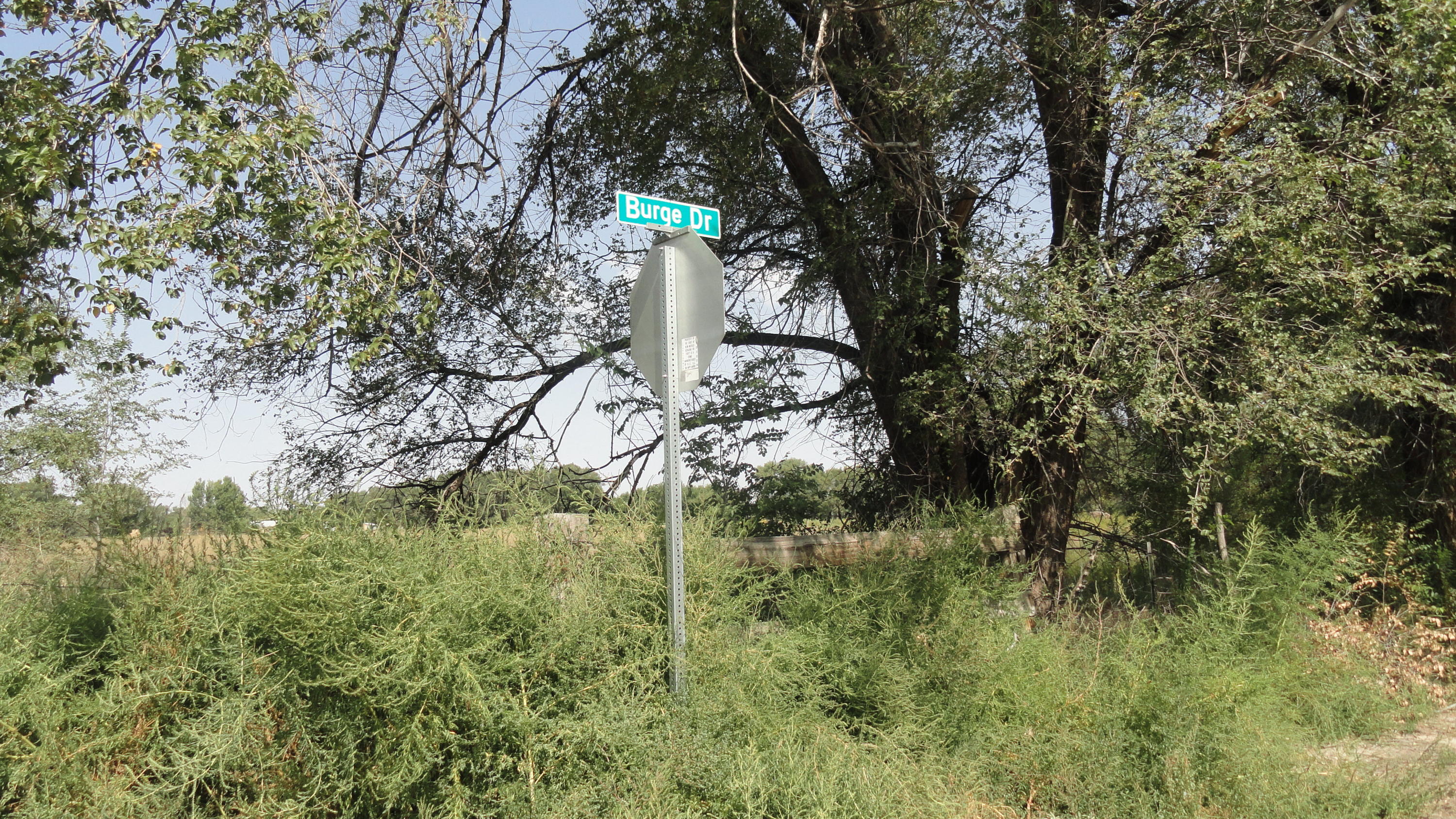 Molina Road Tract 4, Peralta, NM 87042