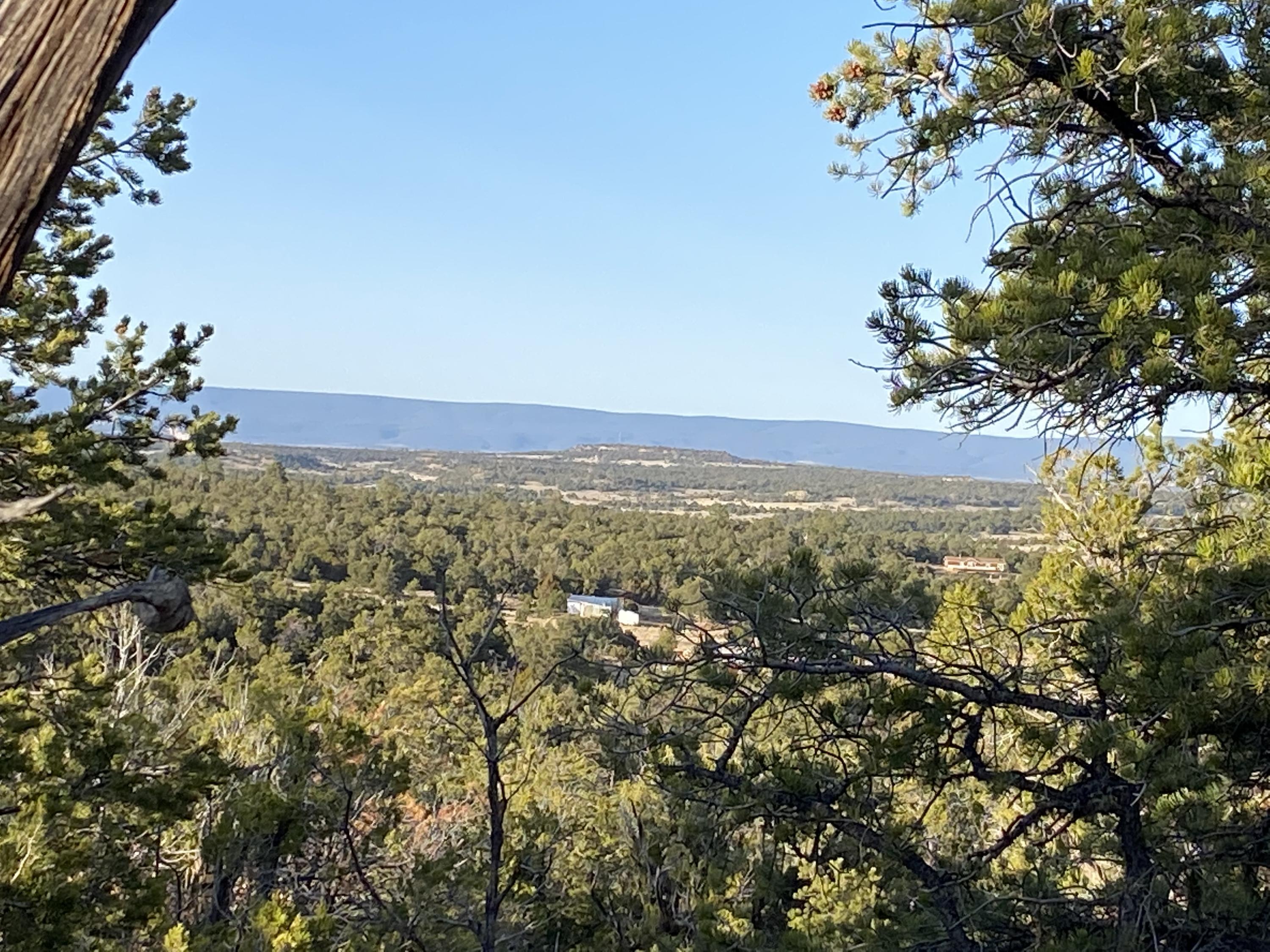 Lots4&6 Rocky Bluff Lane Road, Ramah, NM 87321