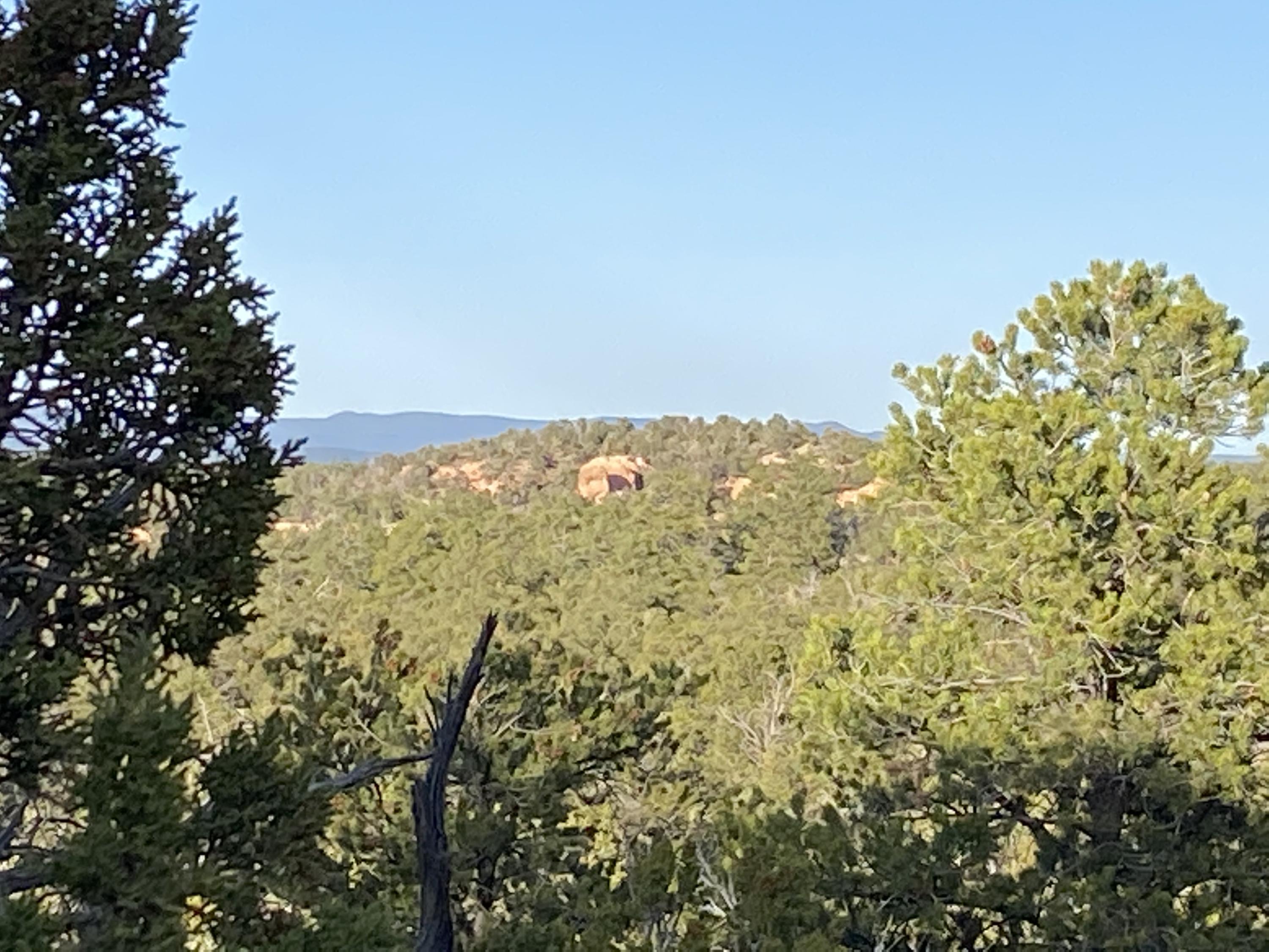 Lots7-8 Rocky Bluff Lane Road, Ramah, NM 87321