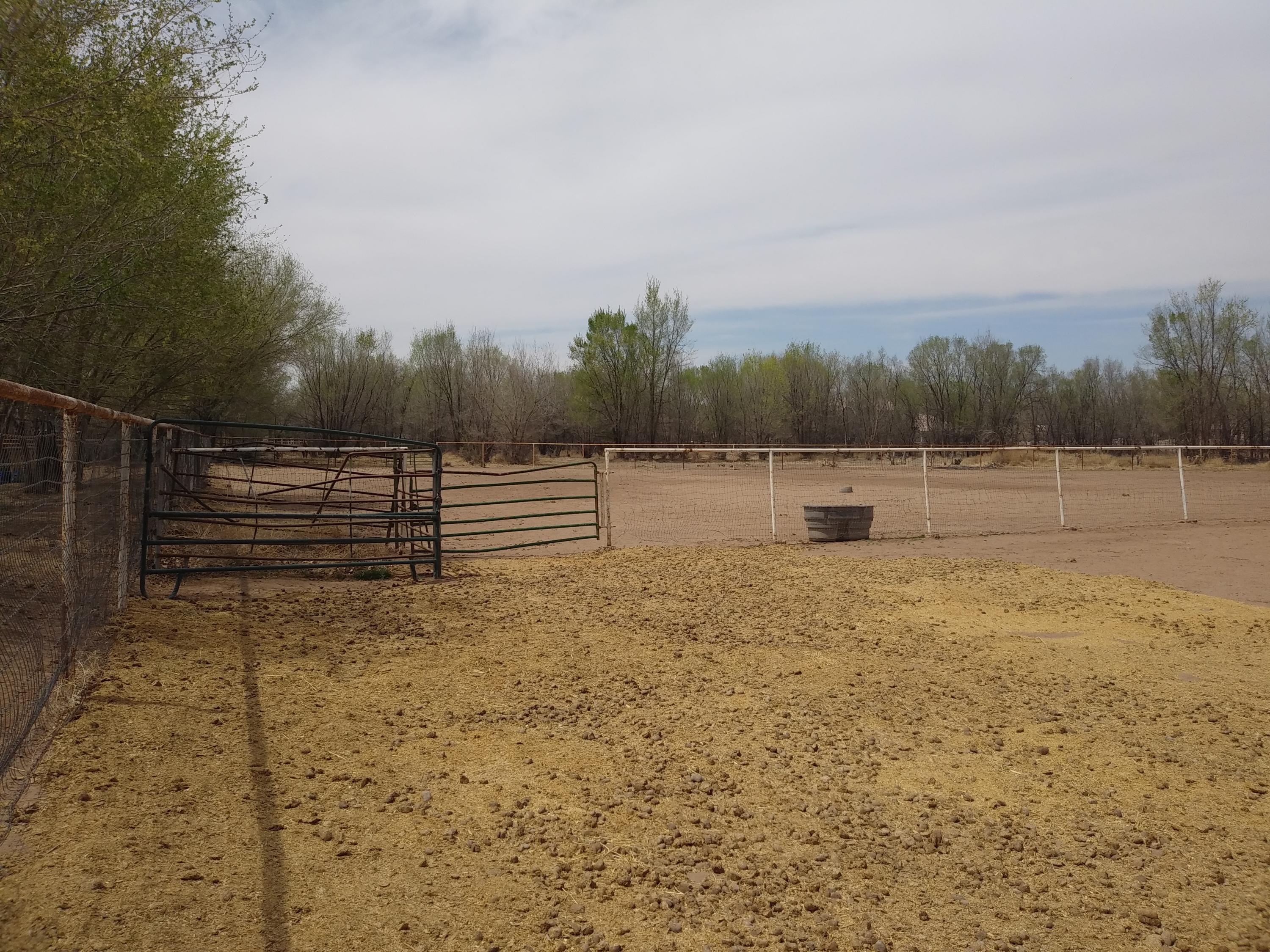 0 RIVERSIDE RD Road, Peralta, New Mexico 87042, ,Farm,For Sale,0 RIVERSIDE RD Road,989442