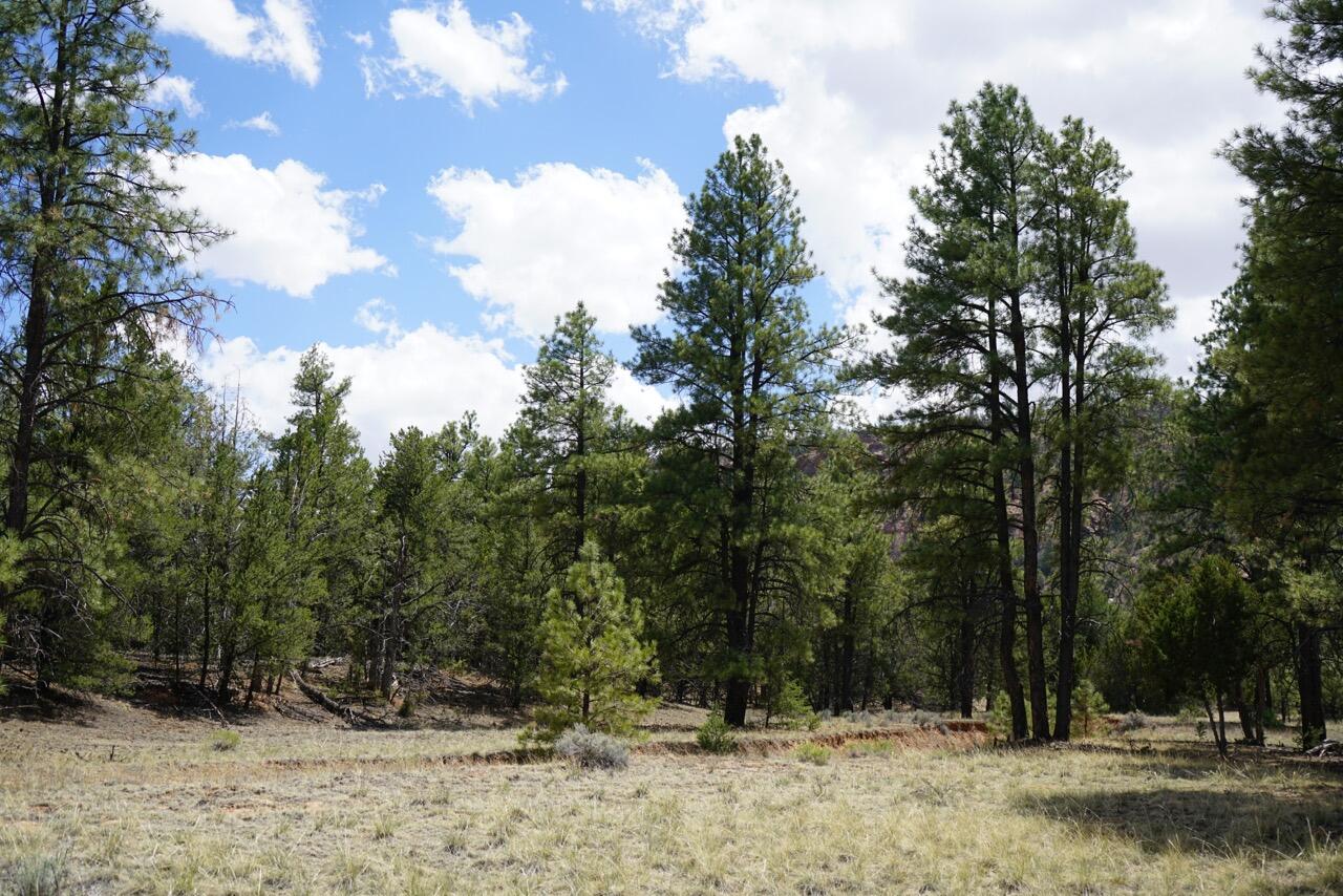 Newest New Mexico Vacant Land for Sale