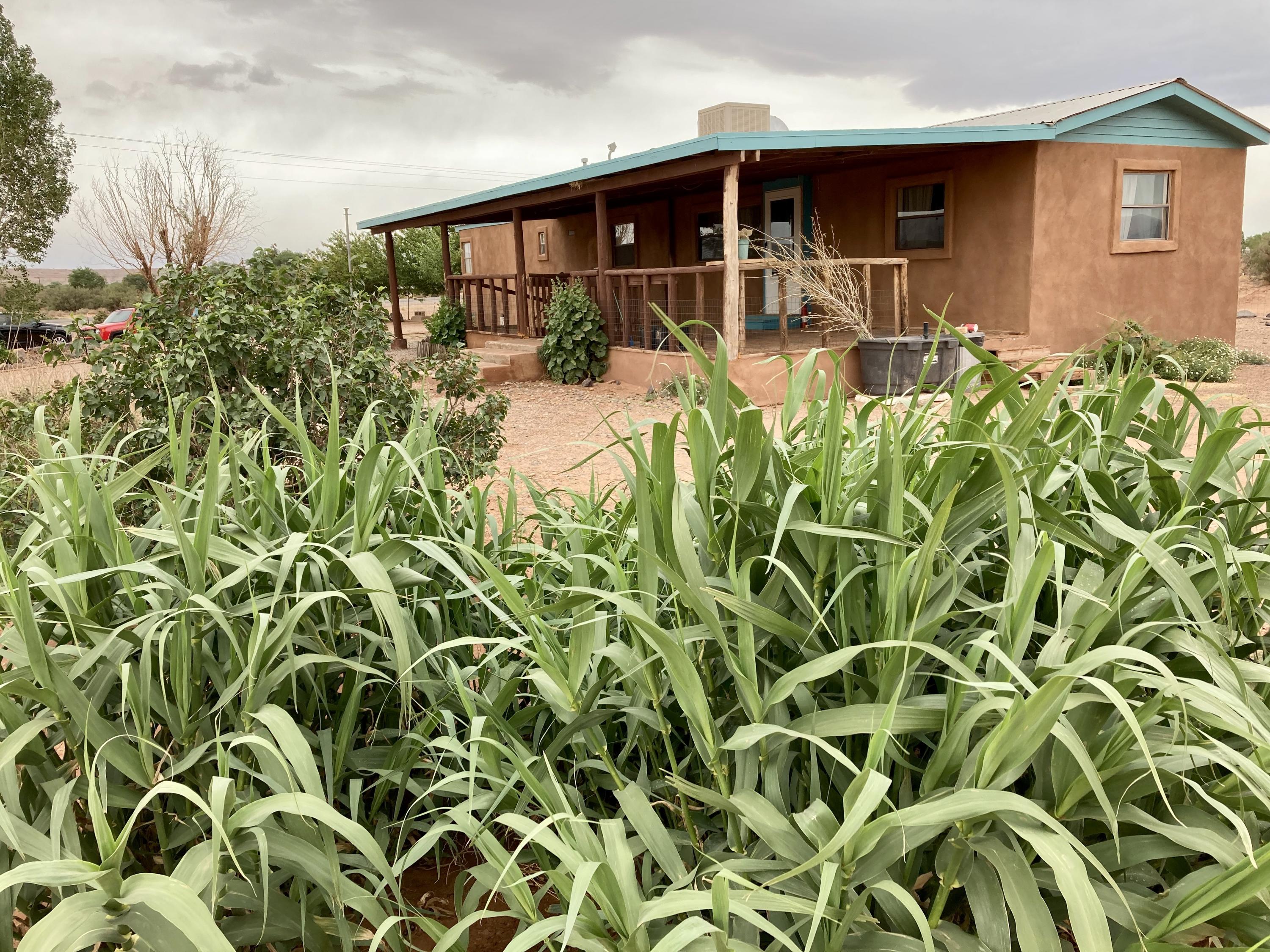 Veguita NM Homes for Sale