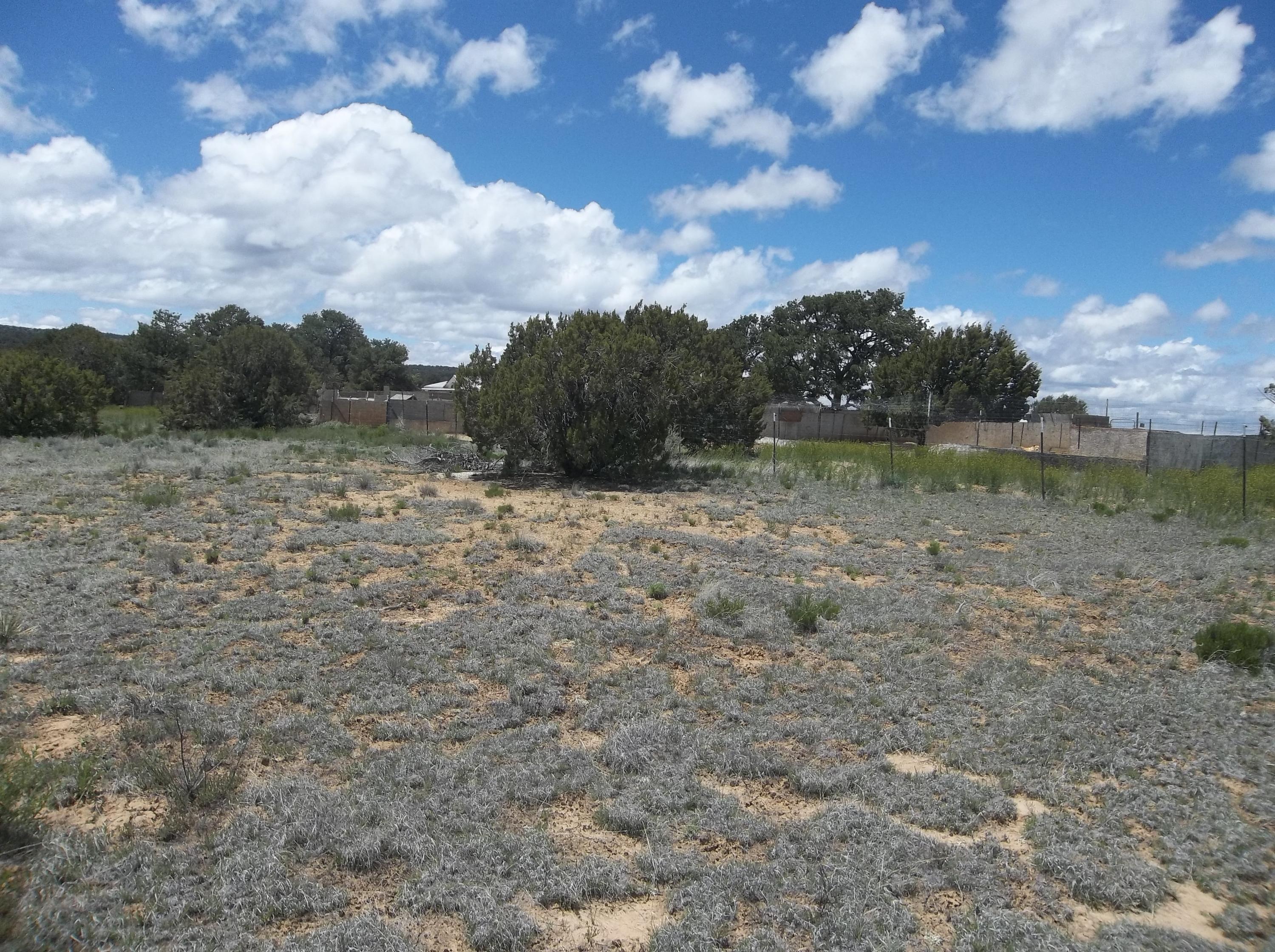 Lot 1 Rockhouse Road - Candy Kitchen, Ramah, NM 87321