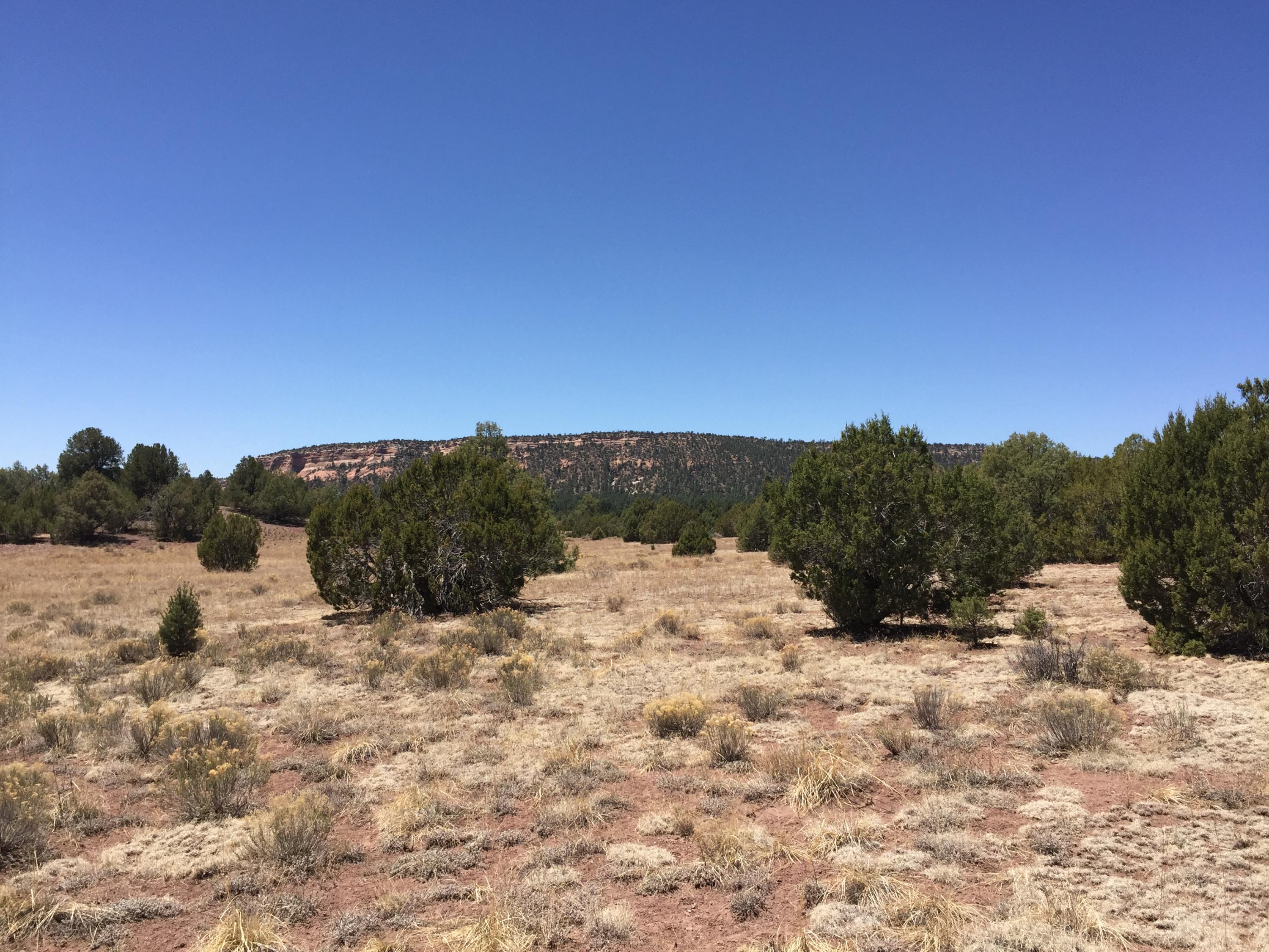 Lot 21 Copperweed Road, Ramah, NM 87321